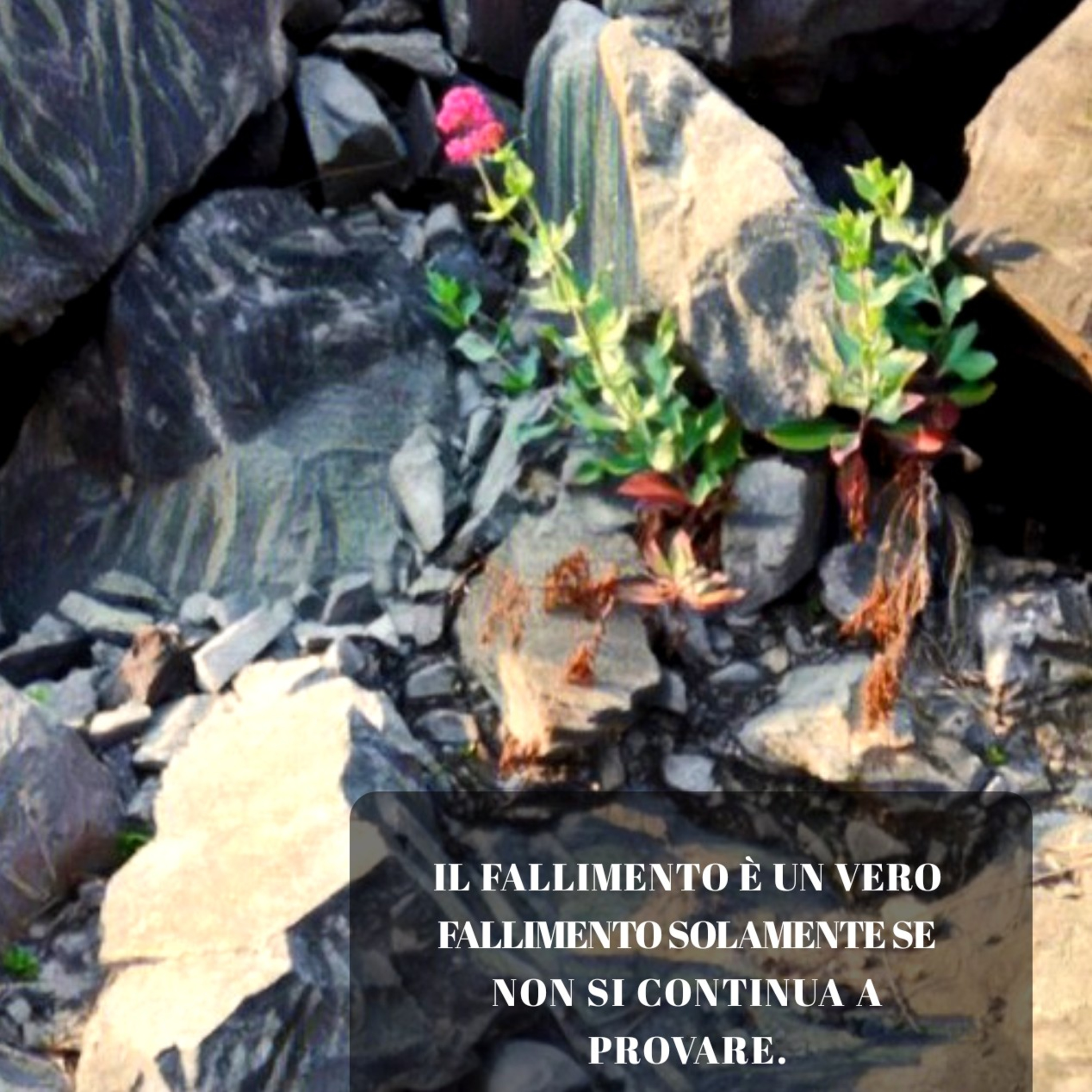 Hip - Ho Imparato Podcast