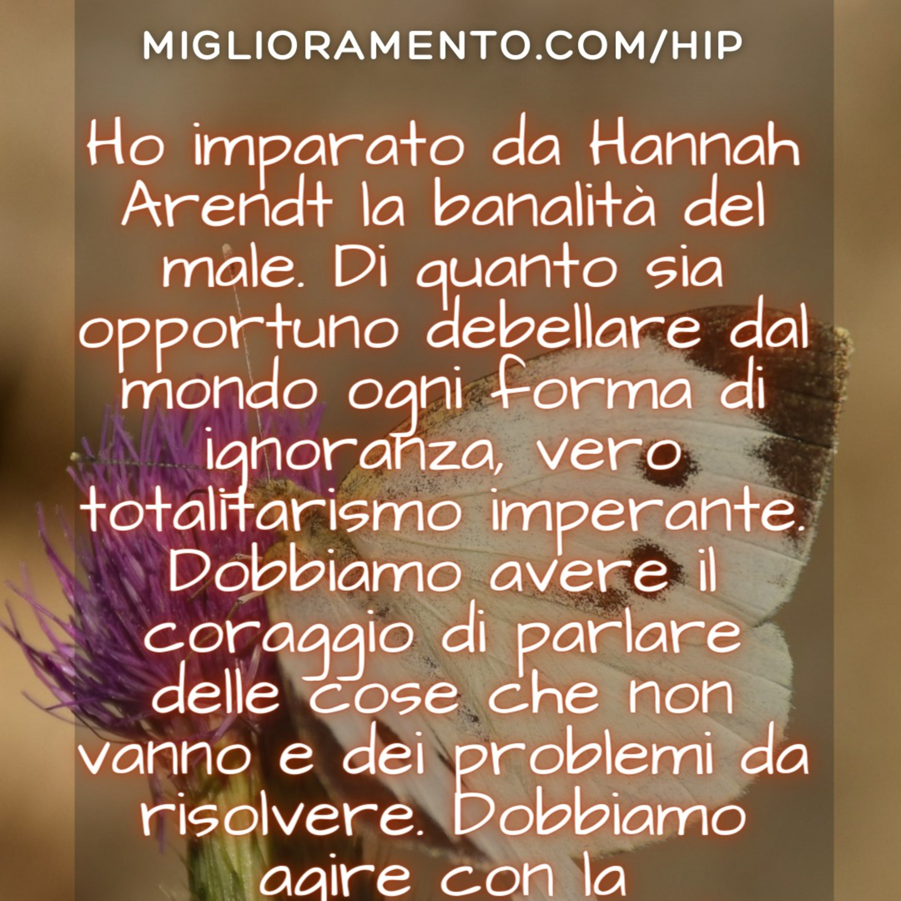 Hip - Ho Imparato Podcast