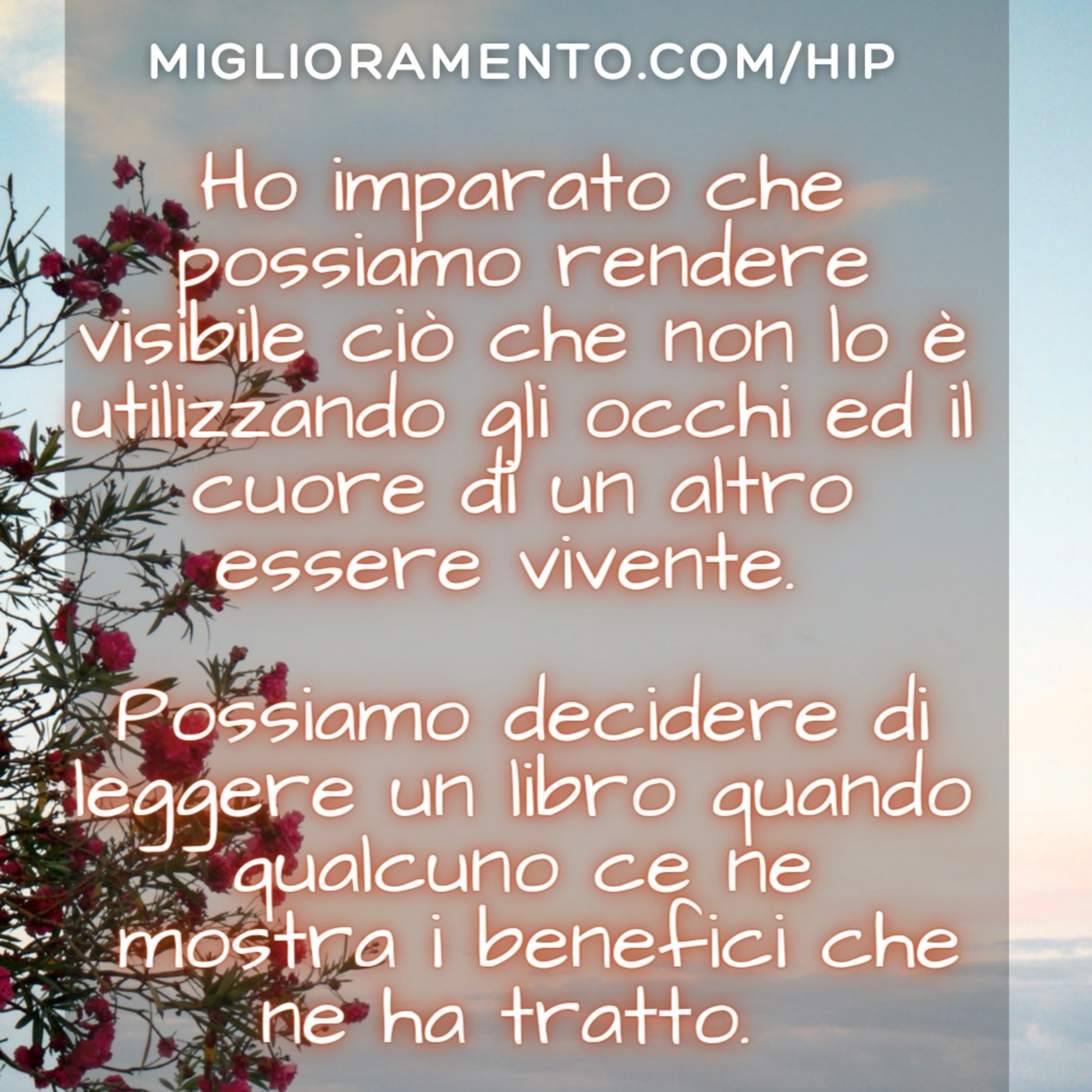 Hip - Ho Imparato Podcast