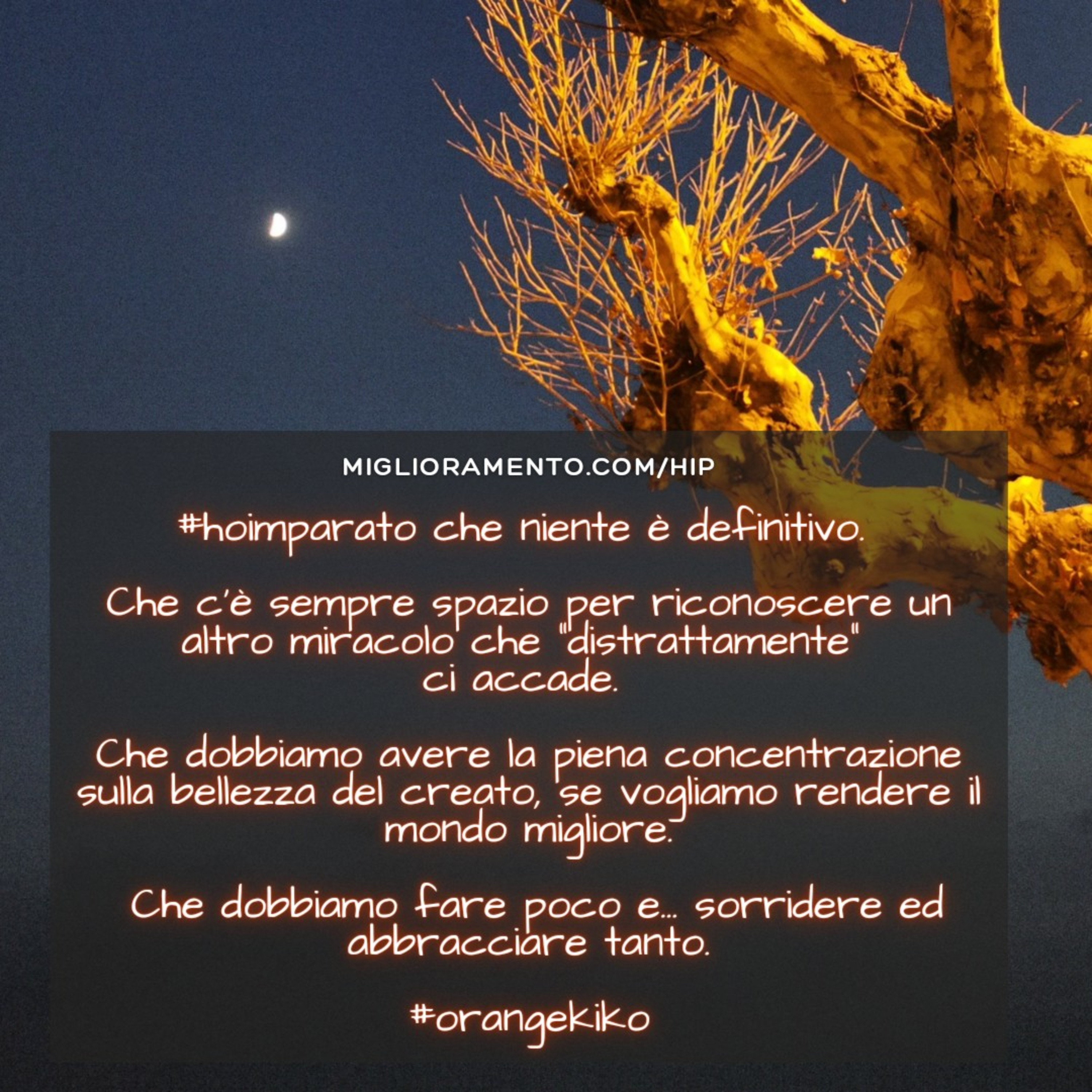 Hip - Ho Imparato Podcast