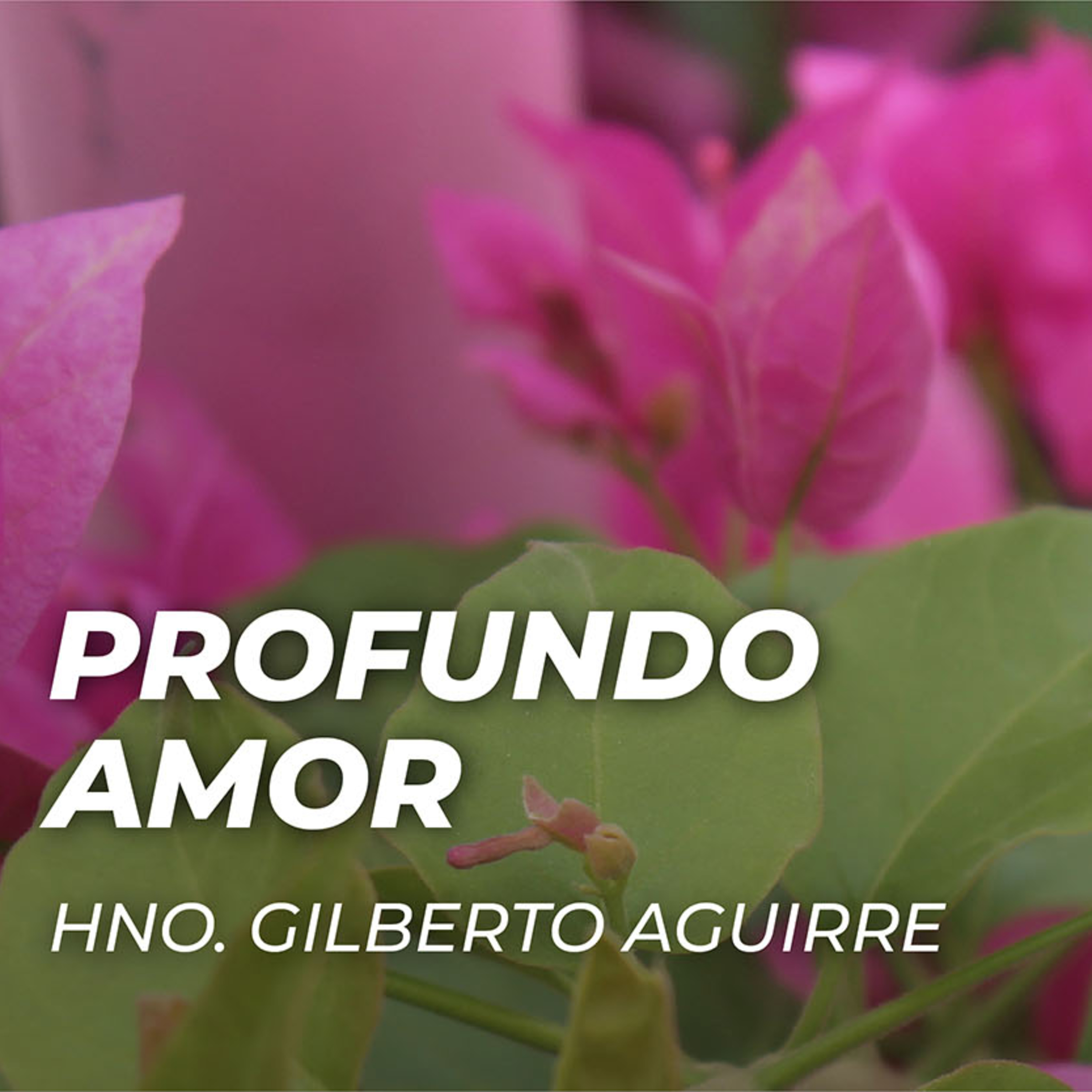 Profundo amor episode artwork