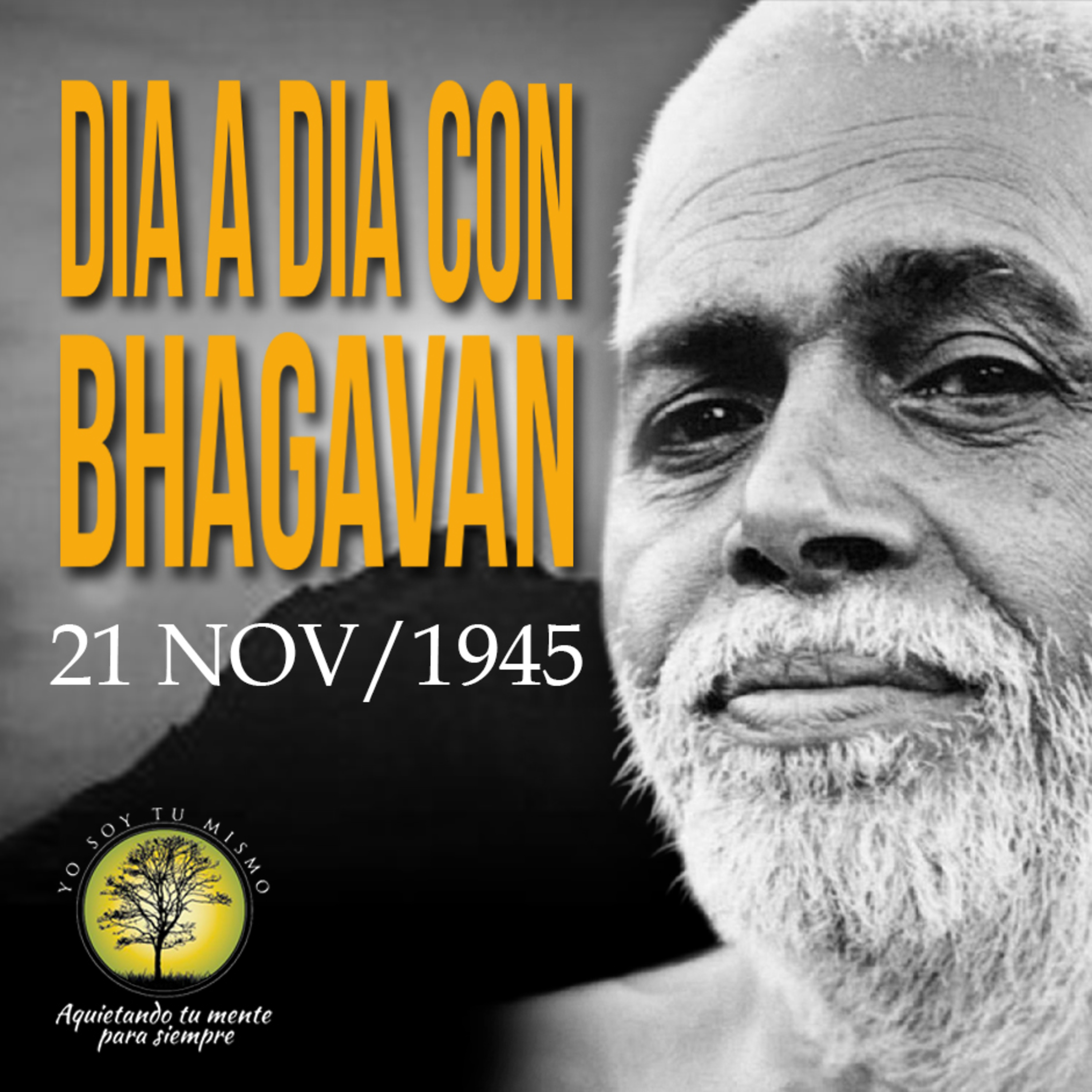 037-DIA A DIA CON BHAGAVAN  episode artwork