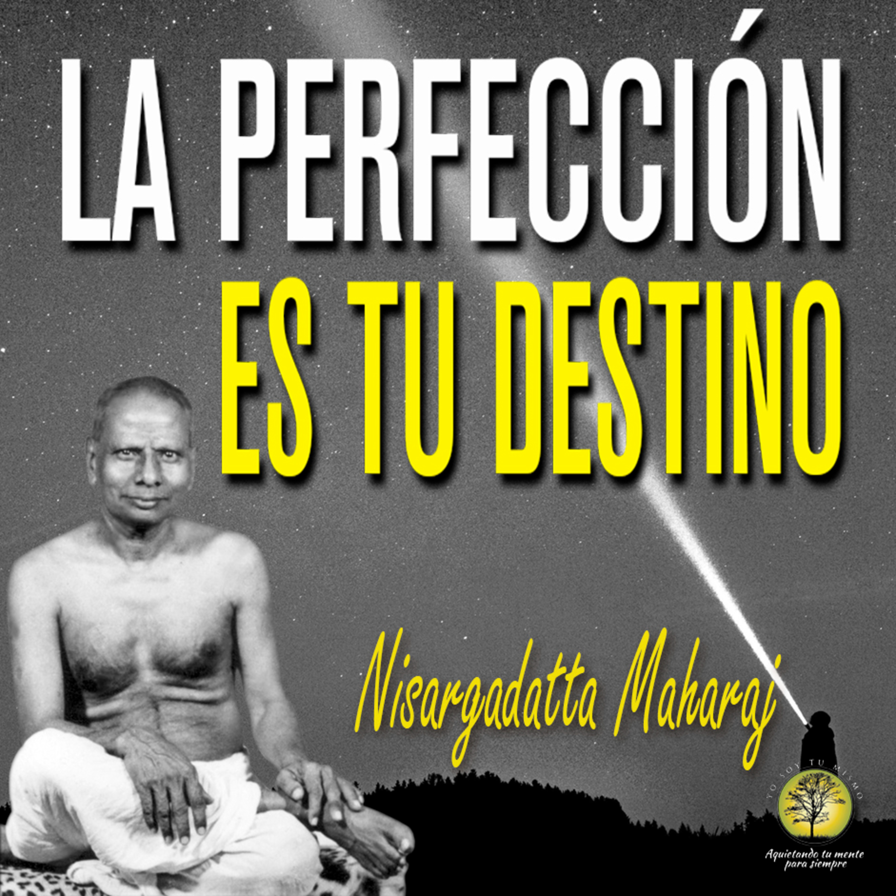 123-LA PERFECCIÓN ES TU DESTINO ~ Nisargadatta Maharaj episode artwork