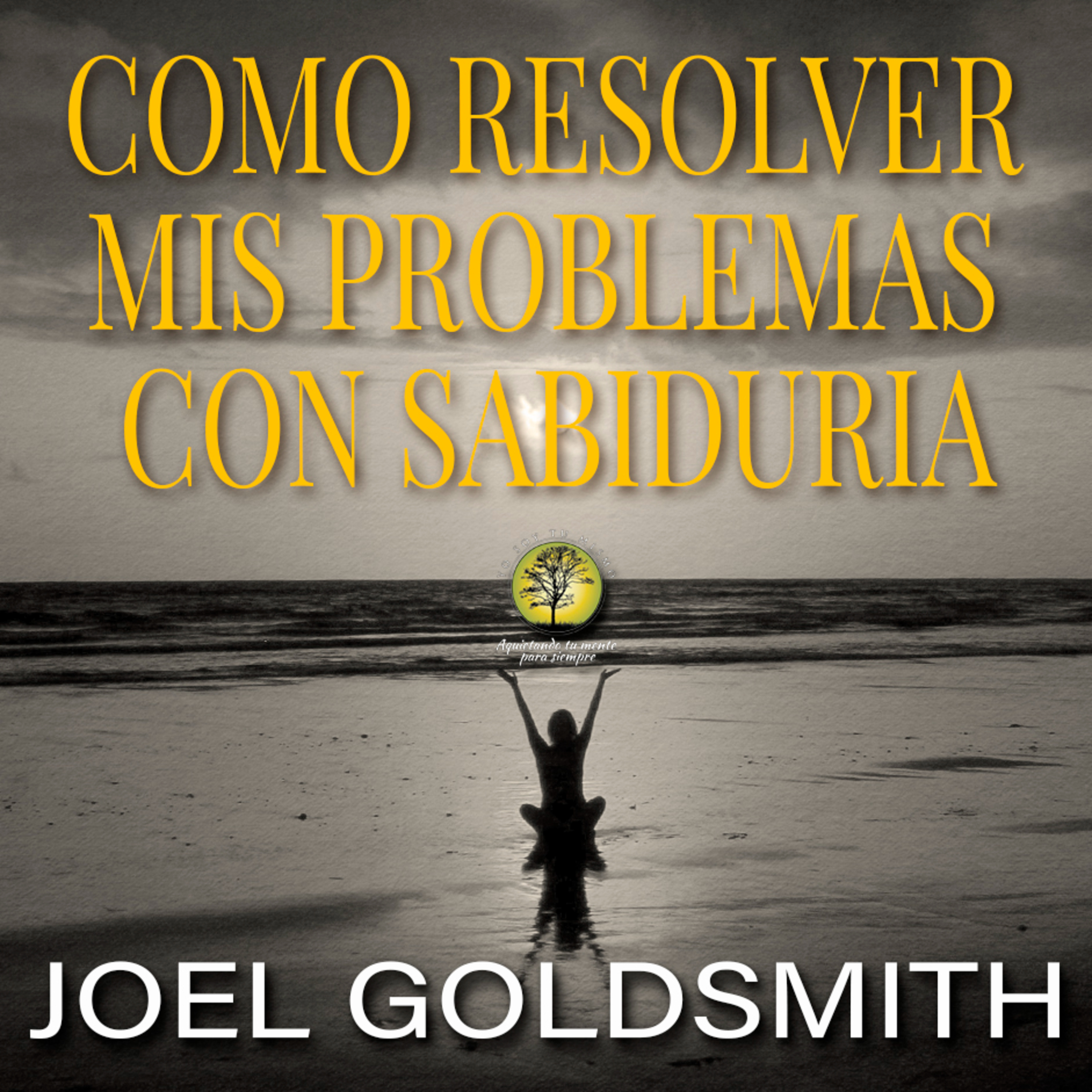 133- COMO RESOLVER MIS PROBLEMAS CON SABIDURIA ~ Joel Goldsmith episode artwork