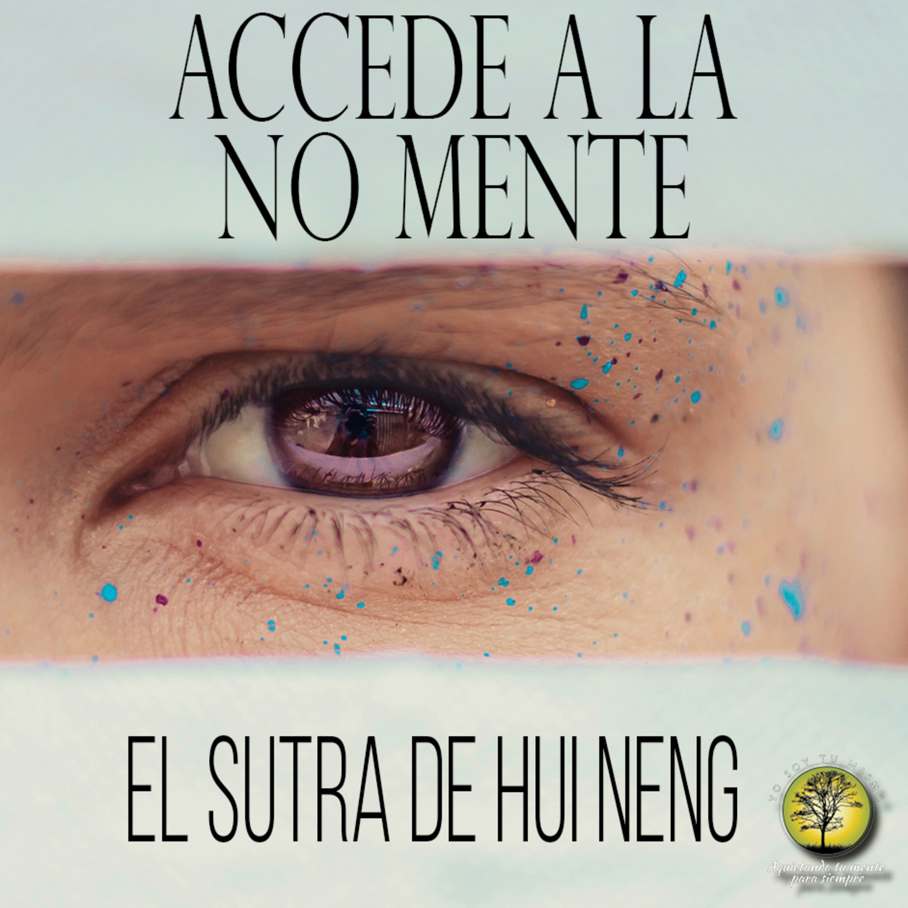 143-ACCEDE A LA NO MENTE ~ EL SUTRA DE HUI NENG ~ Parte I episode artwork