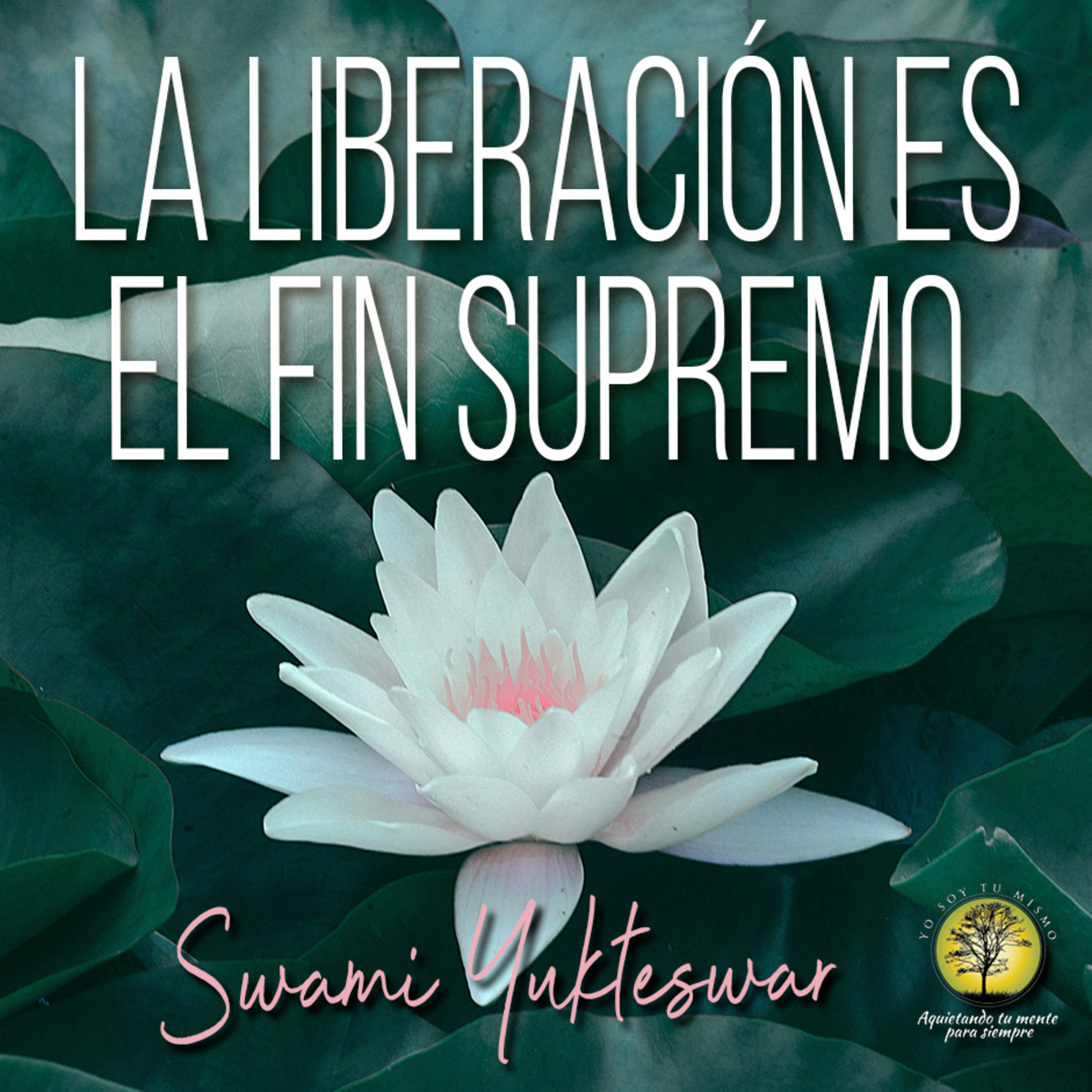 149-LA LIBERACION ES EL FIN SUPREMO ~ Swami Sri Yukteswar episode artwork