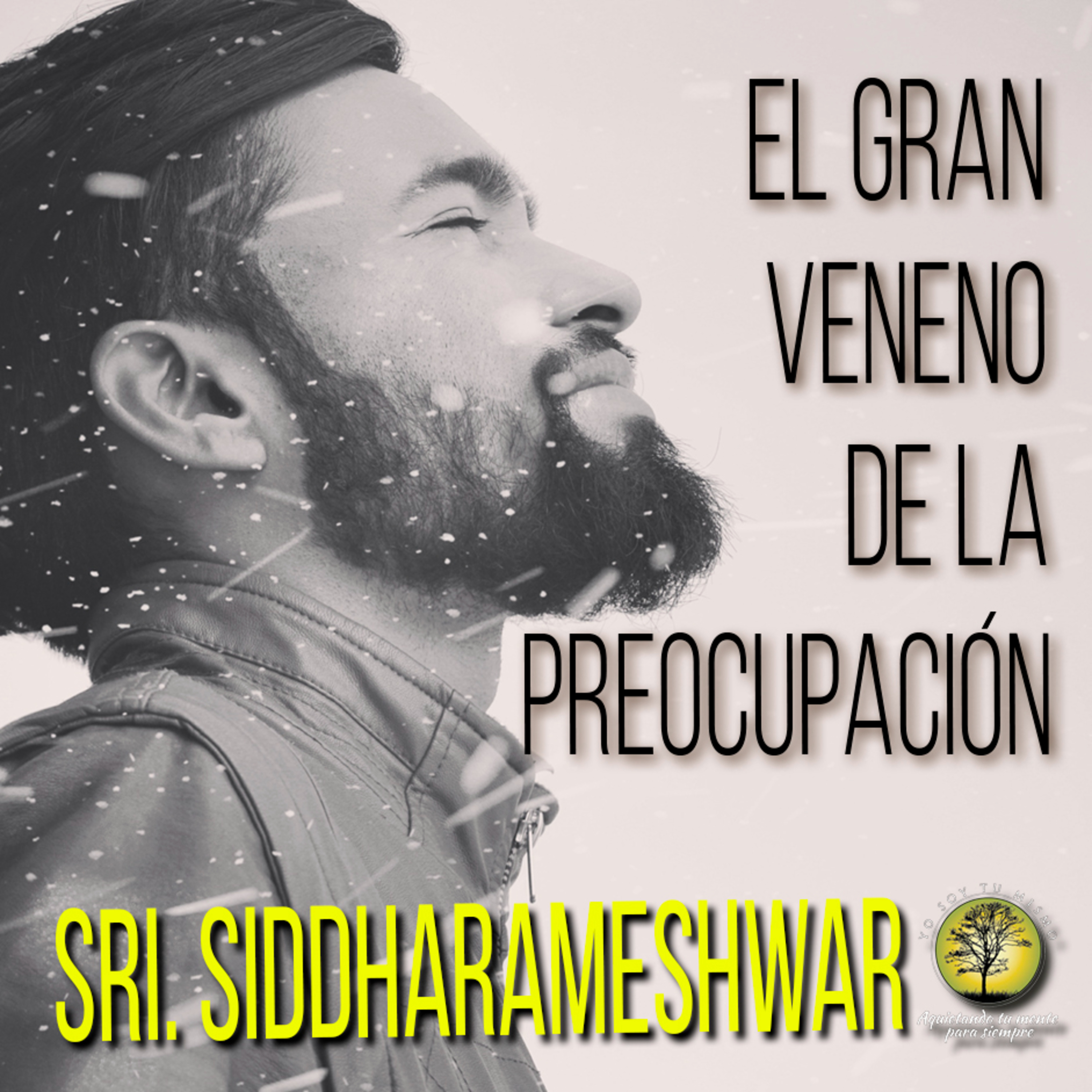 150-EL GRAN VENENO DE LA PREOCUPACION ~ Sri Siddharameshwar Maharaj episode artwork
