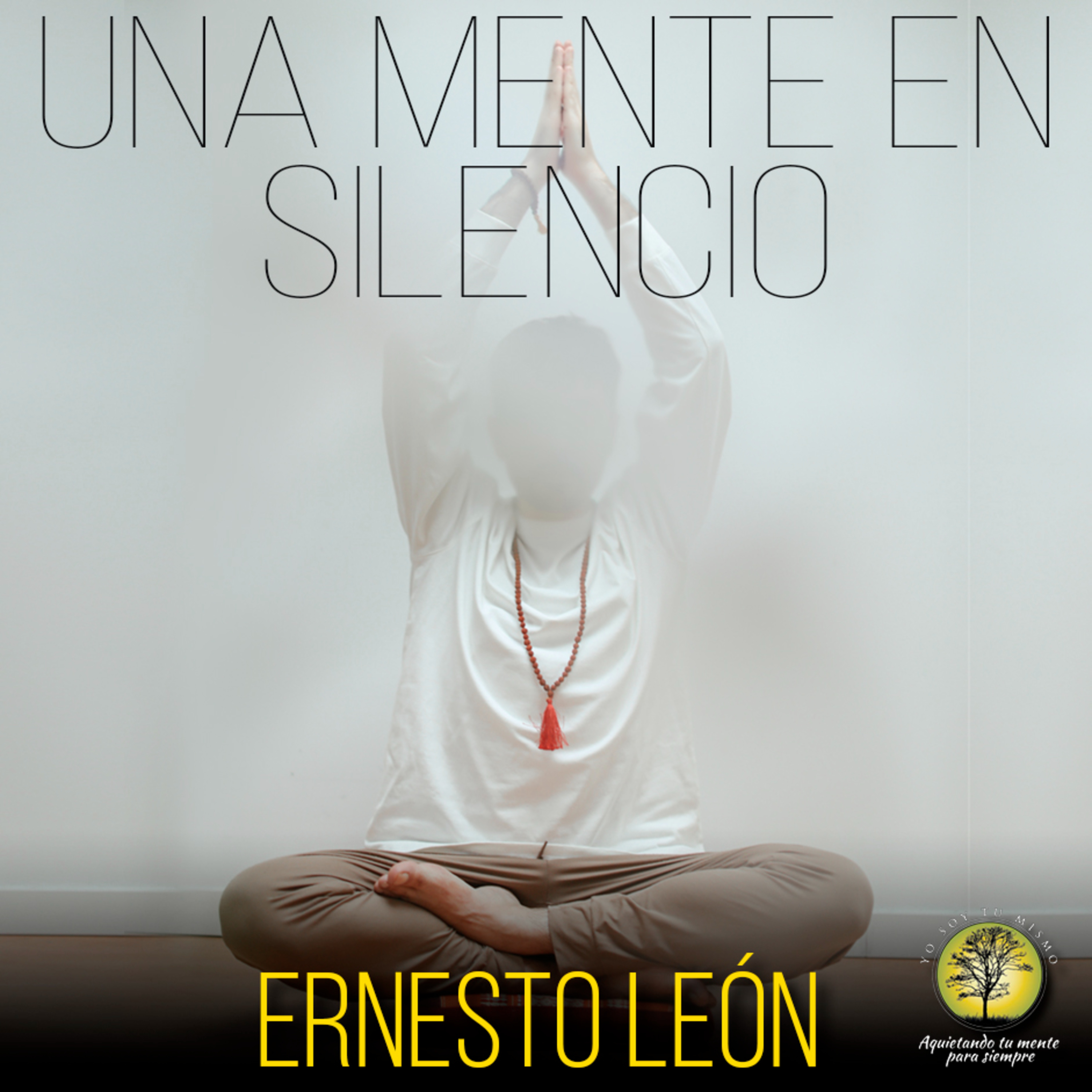 162-UNA MENTE EN SILENCIO ~ Ernesto León episode artwork