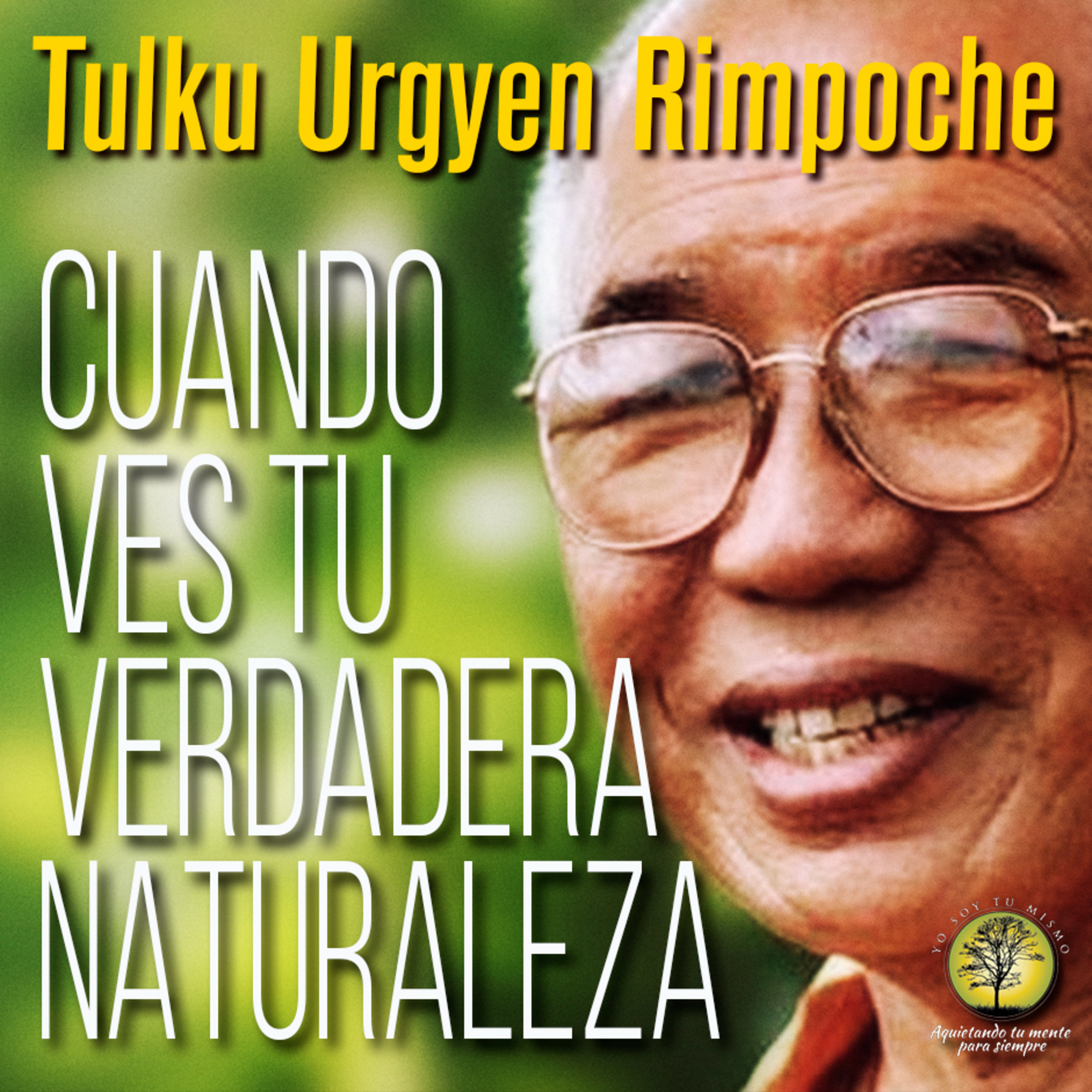 169-CUANDO VES TU VERDADERA NATURALEZA ~ Tulku Urgyen Rimpoche episode artwork