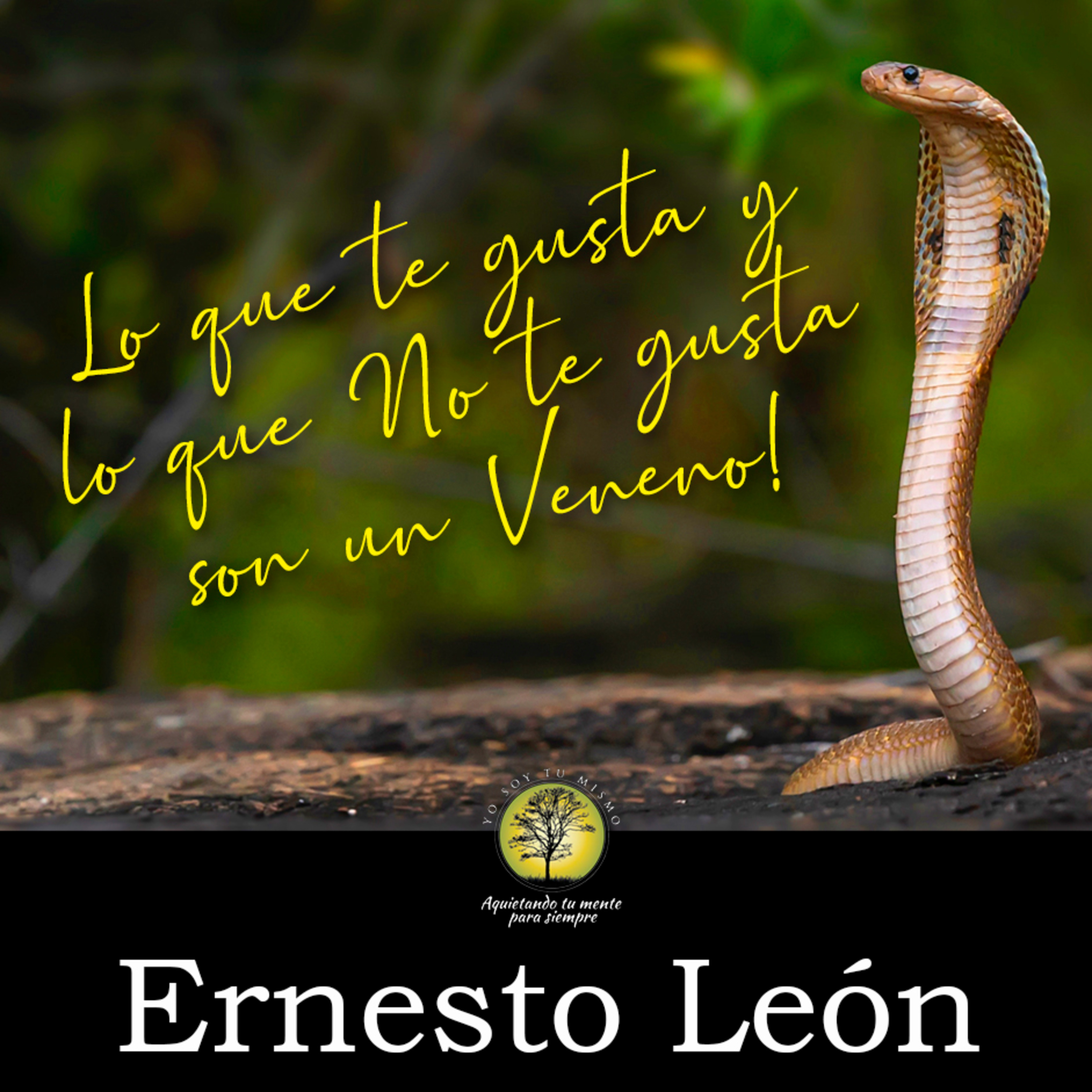 173-LO QUE TE GUSTA Y LO QUE NO TE GUSTA ES UN VENENO ~ Ernesto León episode artwork