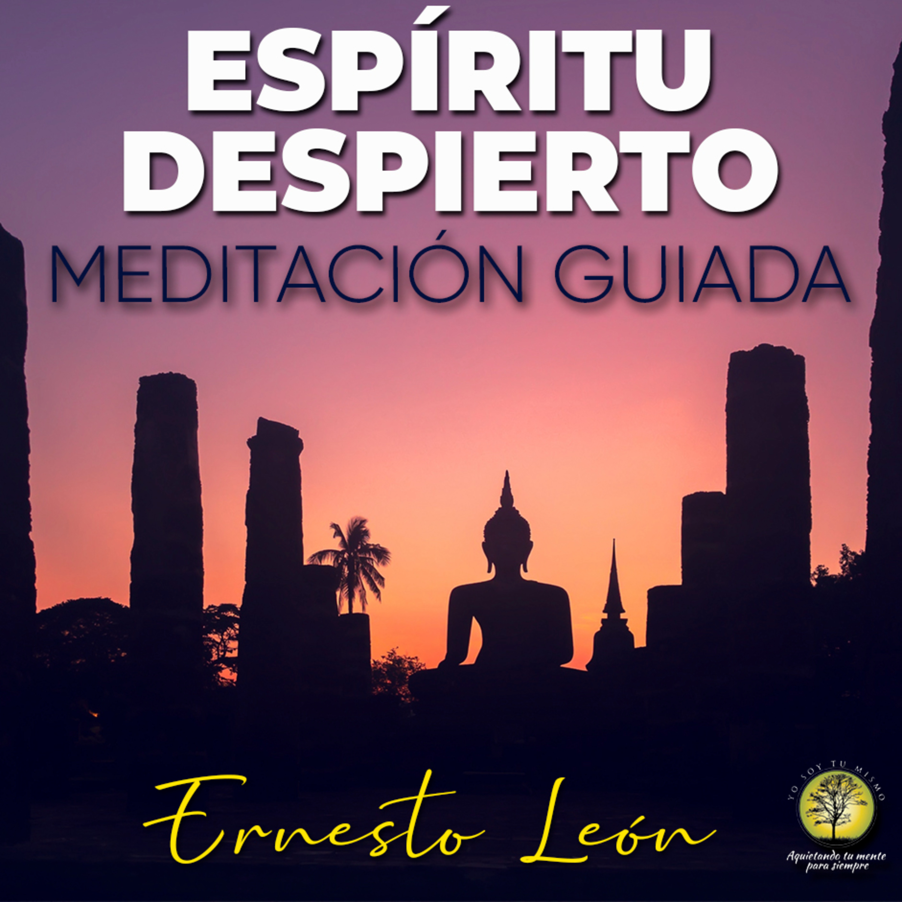 192-ESPÍRITU DESPIERTO / MEDITACIÓN GUIADA ~ Ernesto León episode artwork