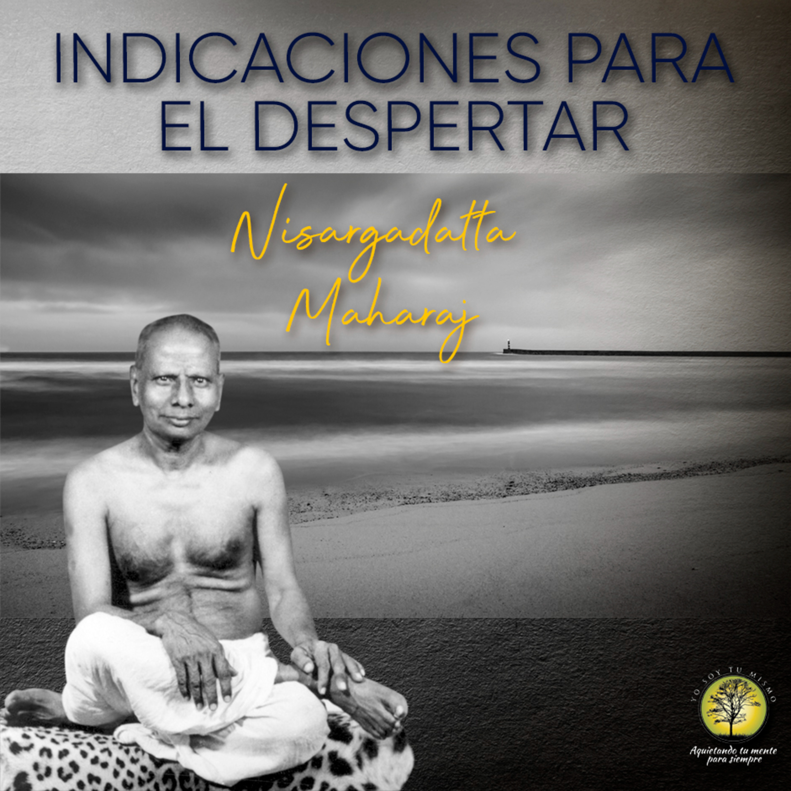 193-INDICACIONES PARA EL DESPERTAR ~ Nisargadatta Maharaj episode artwork