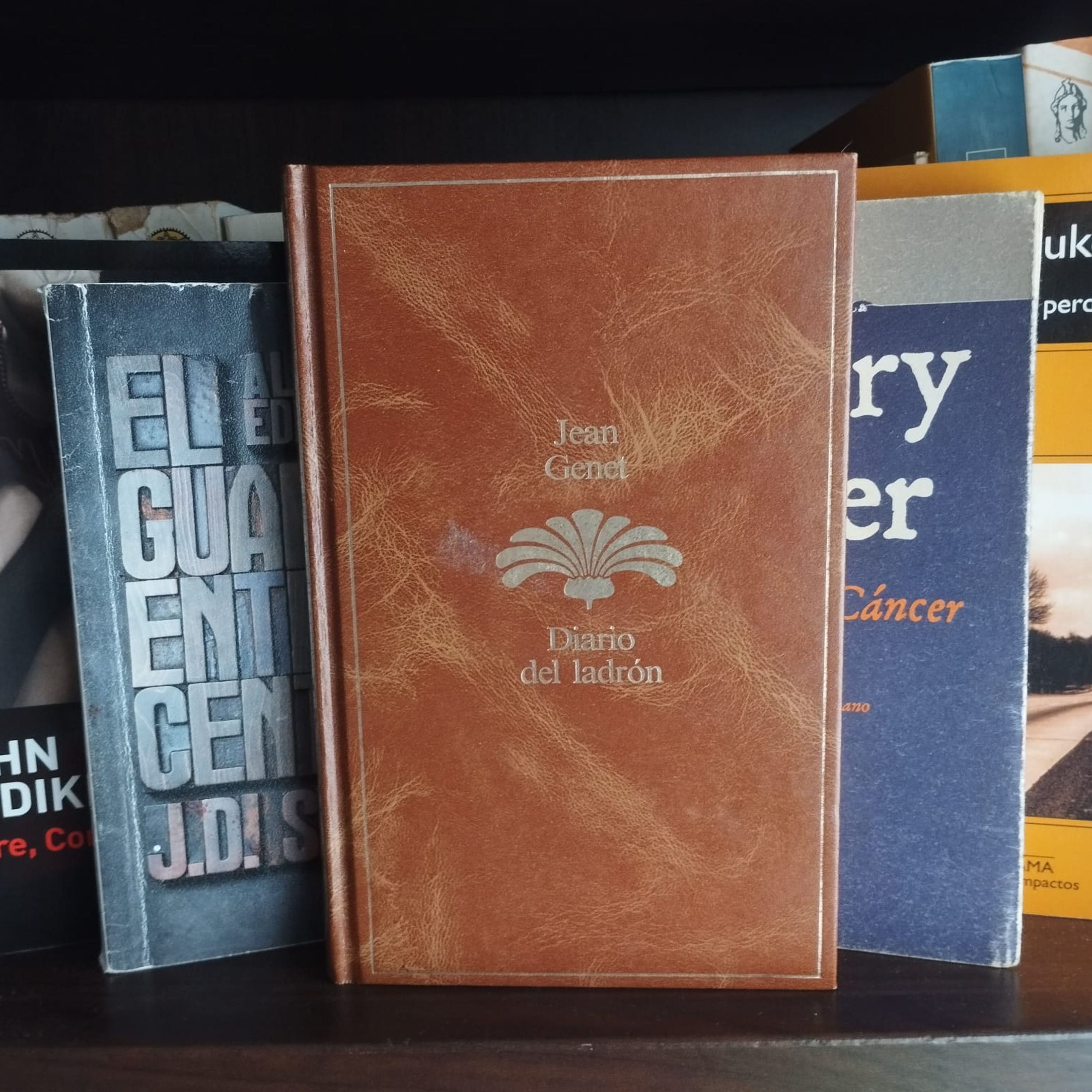 Litterae Dependens