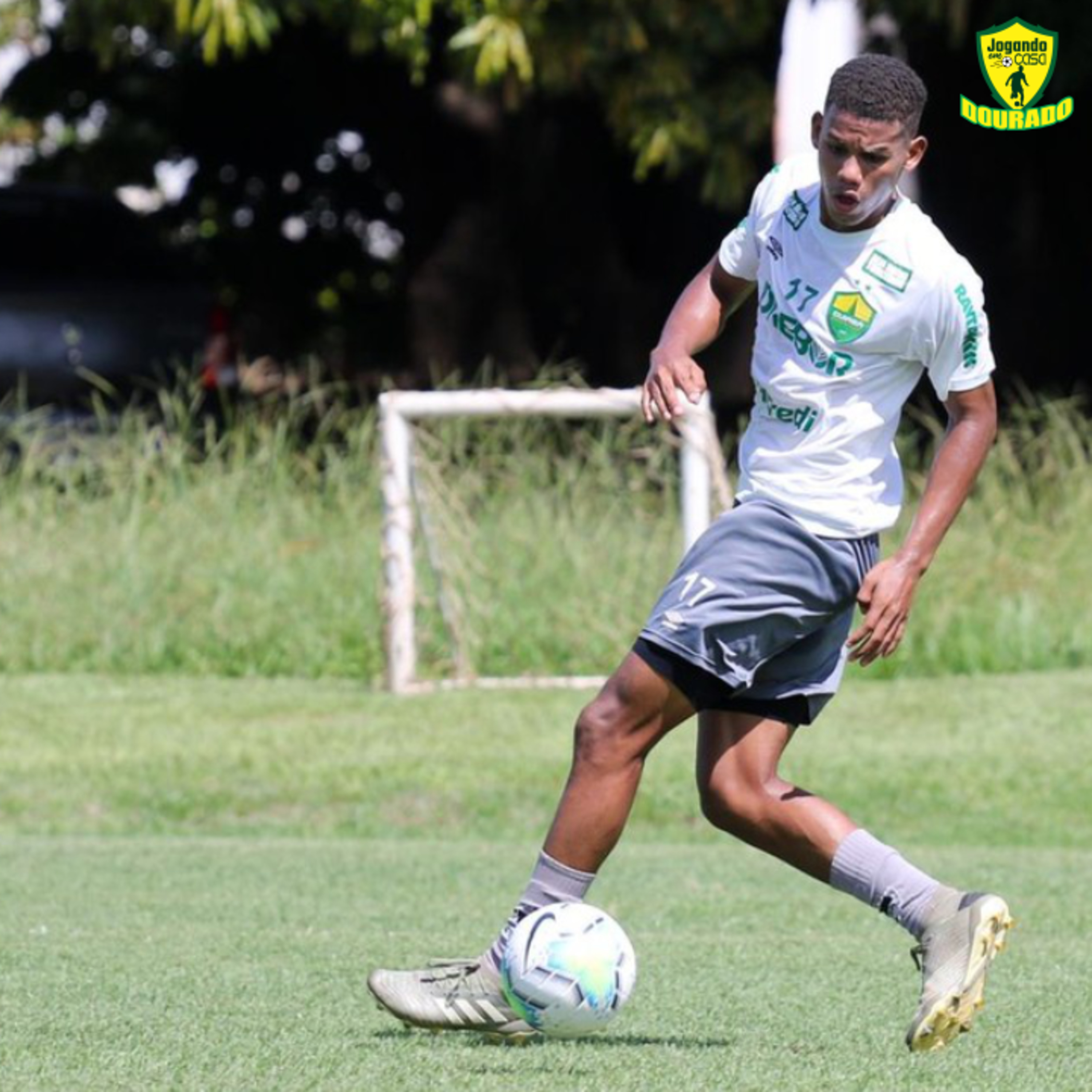 Jogando em casa Dourado