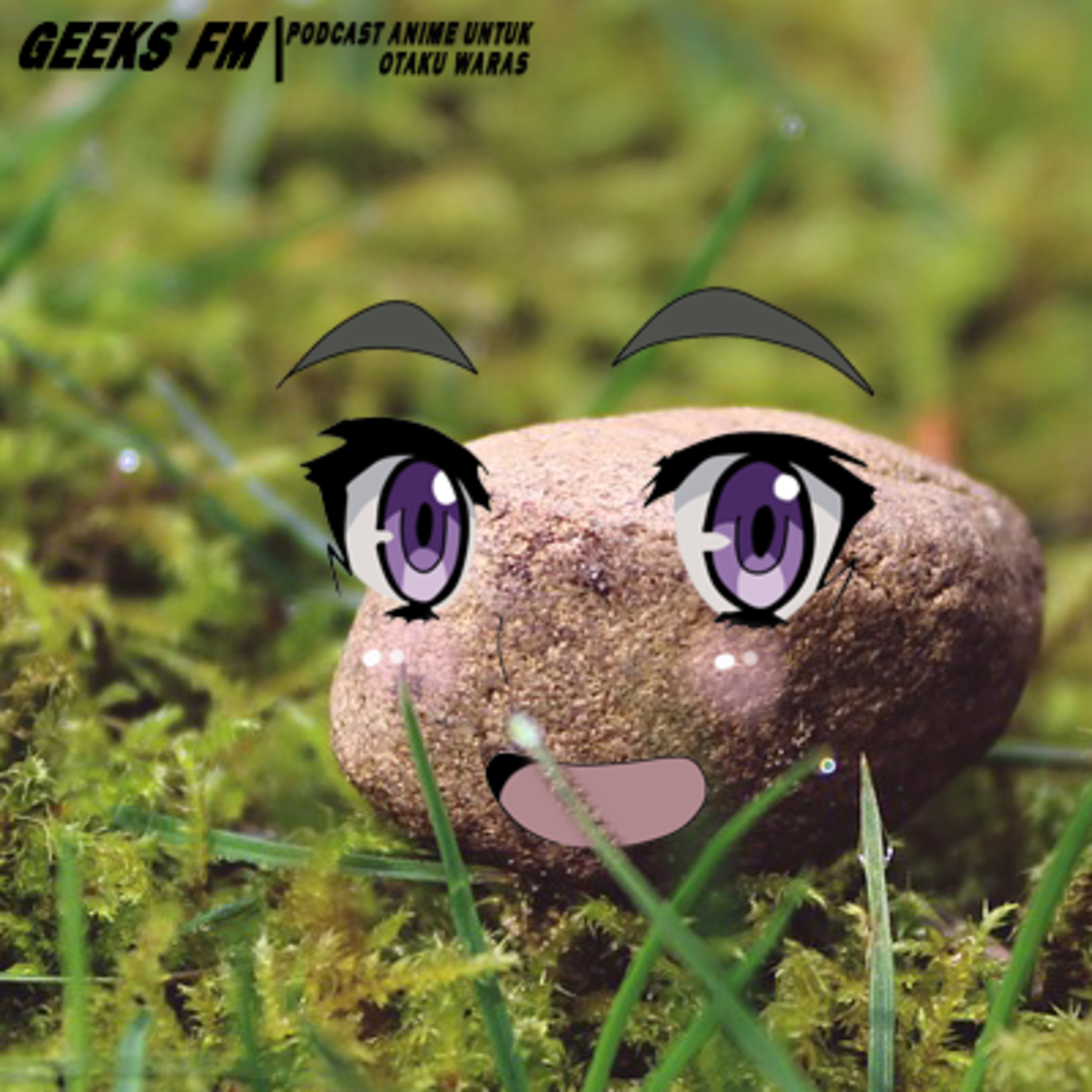 Geeks Fm