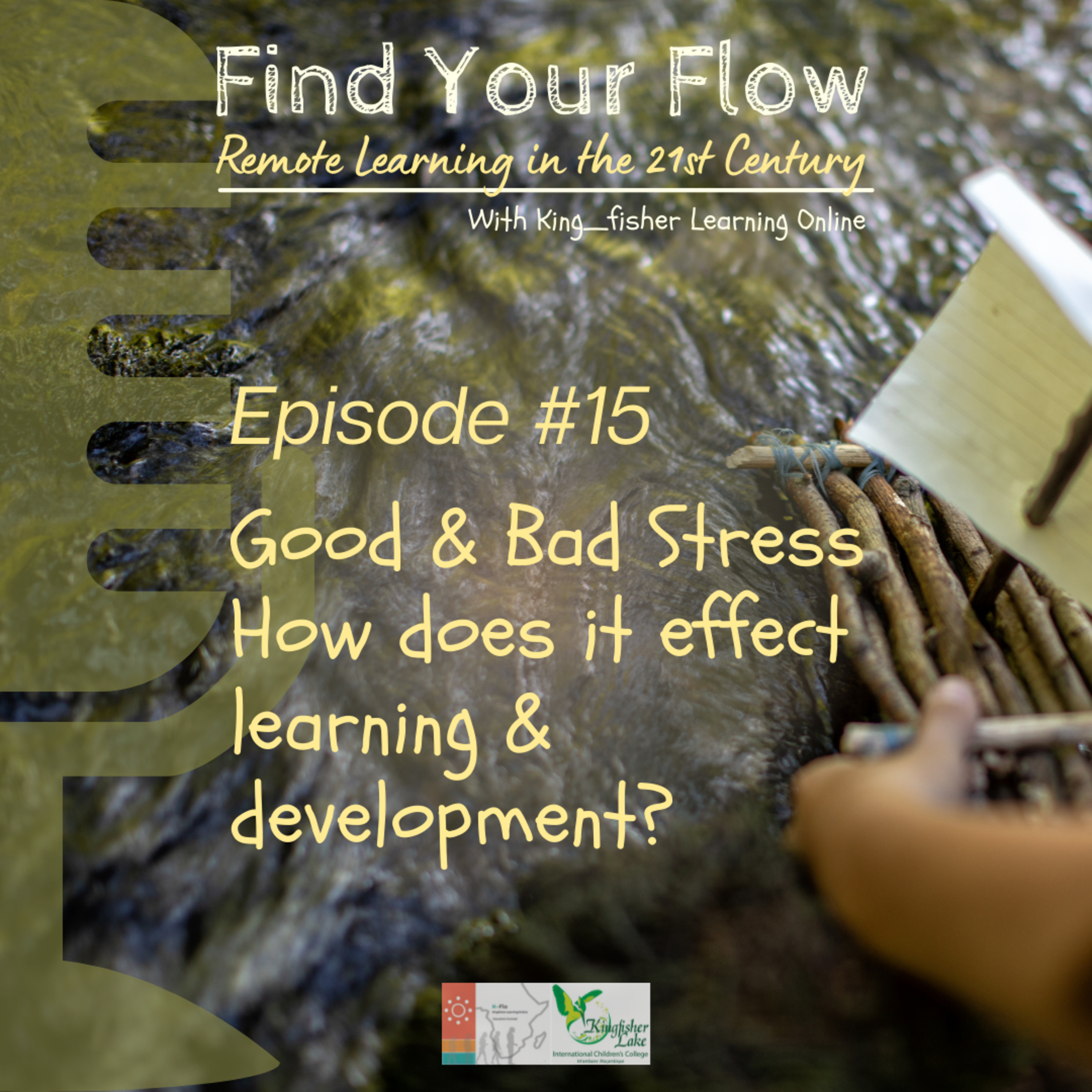 Find Your Flow