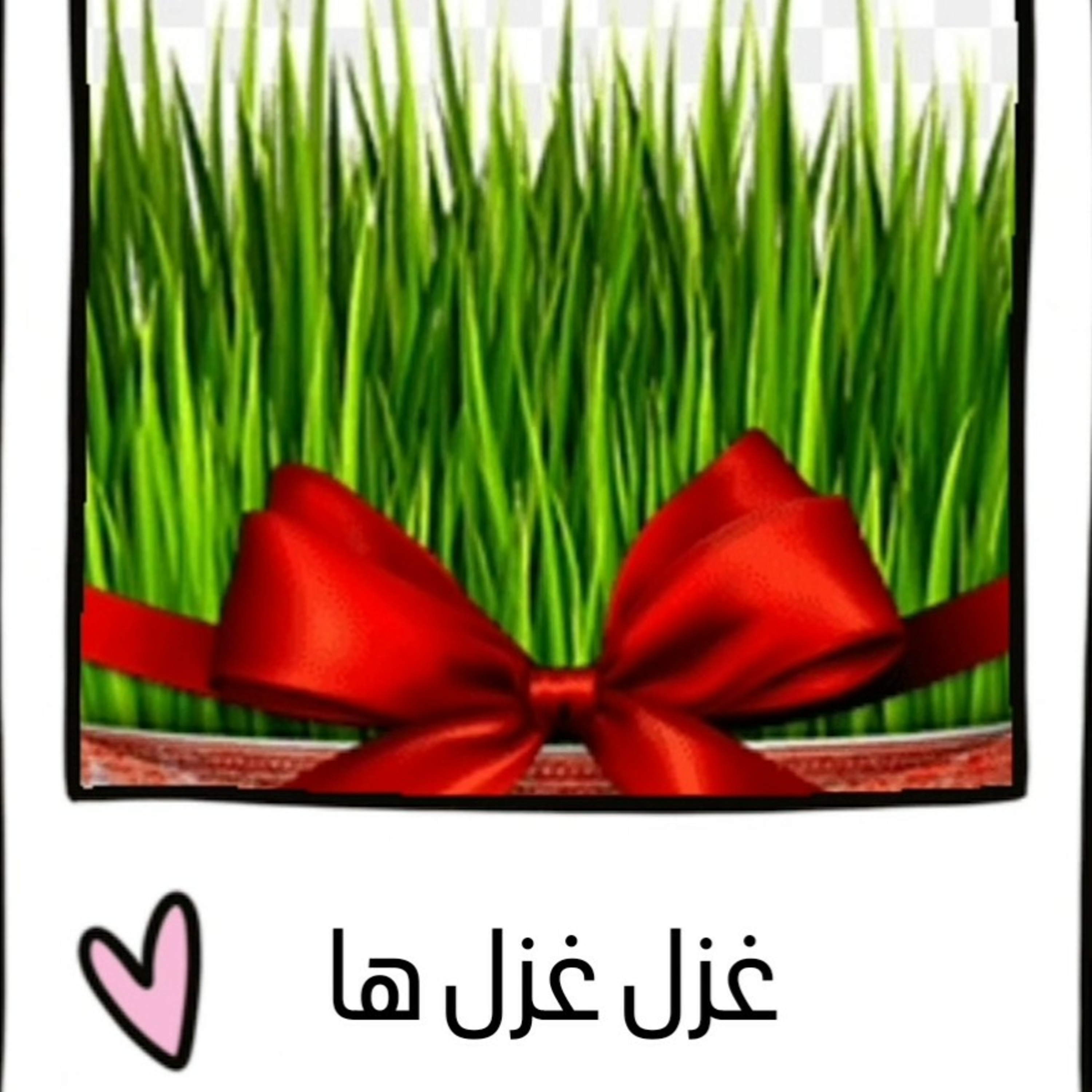 غزل غزل ها:۲ ( نوروزتان پیروز)