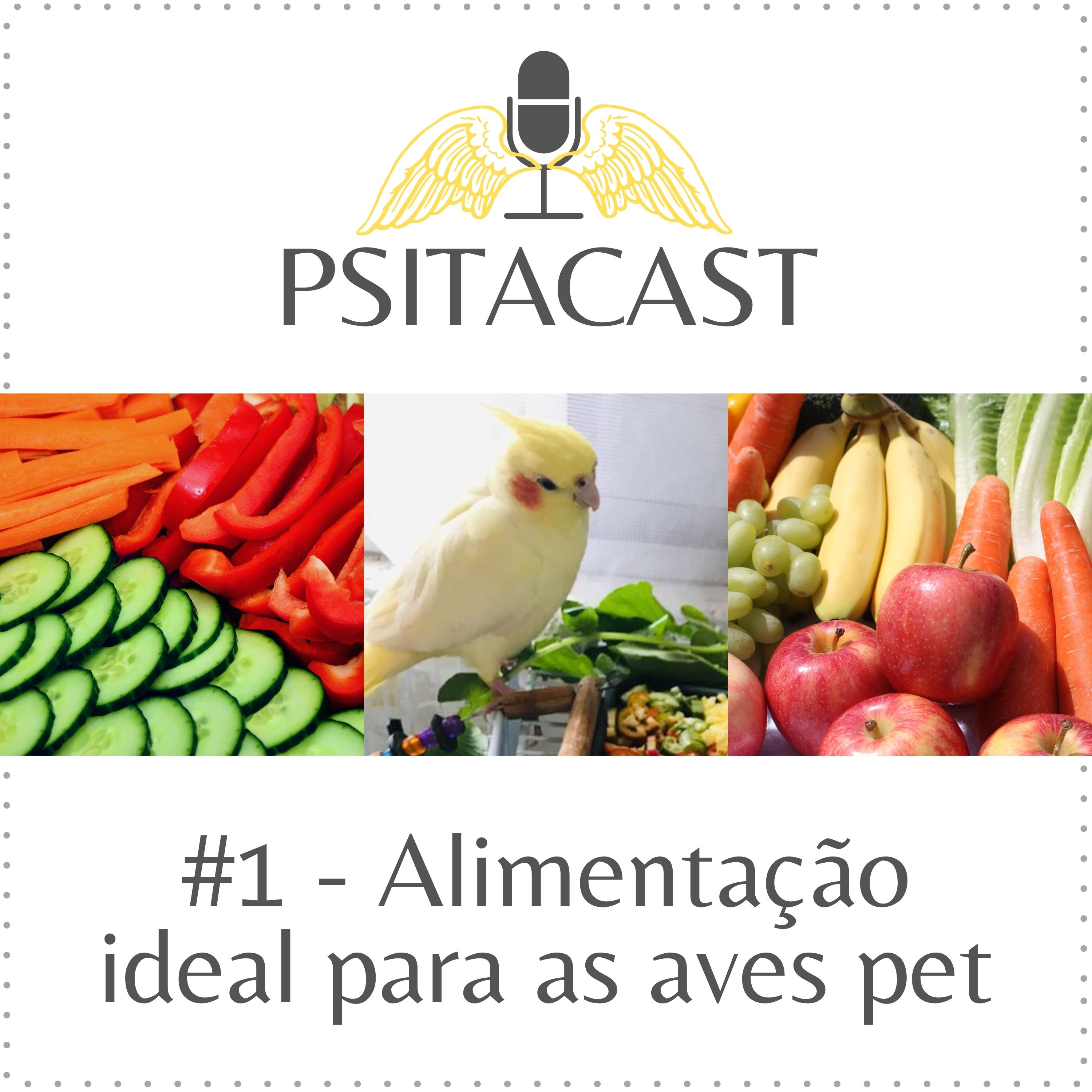 Psitacast #1 - Alimentação das aves episode artwork