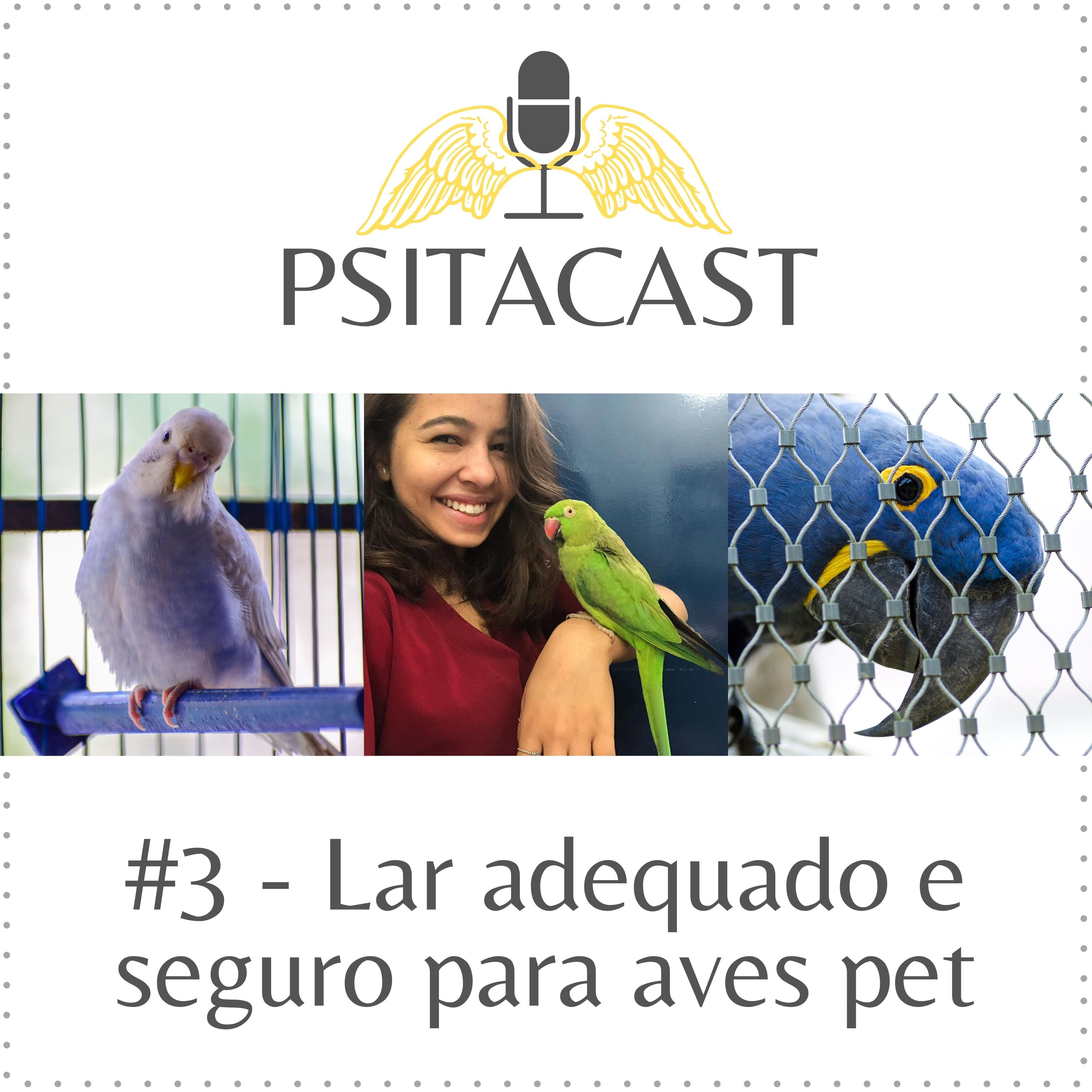 Psitacast #3 - Lar adequado e seguro para aves pet episode artwork