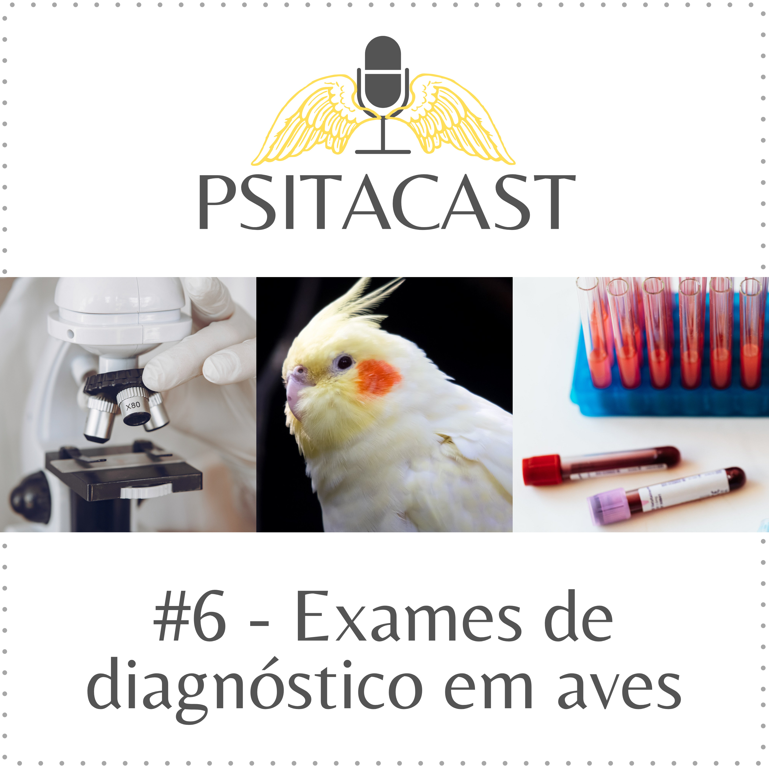 Psitacast #6 - Exames de diagnóstico em aves episode artwork