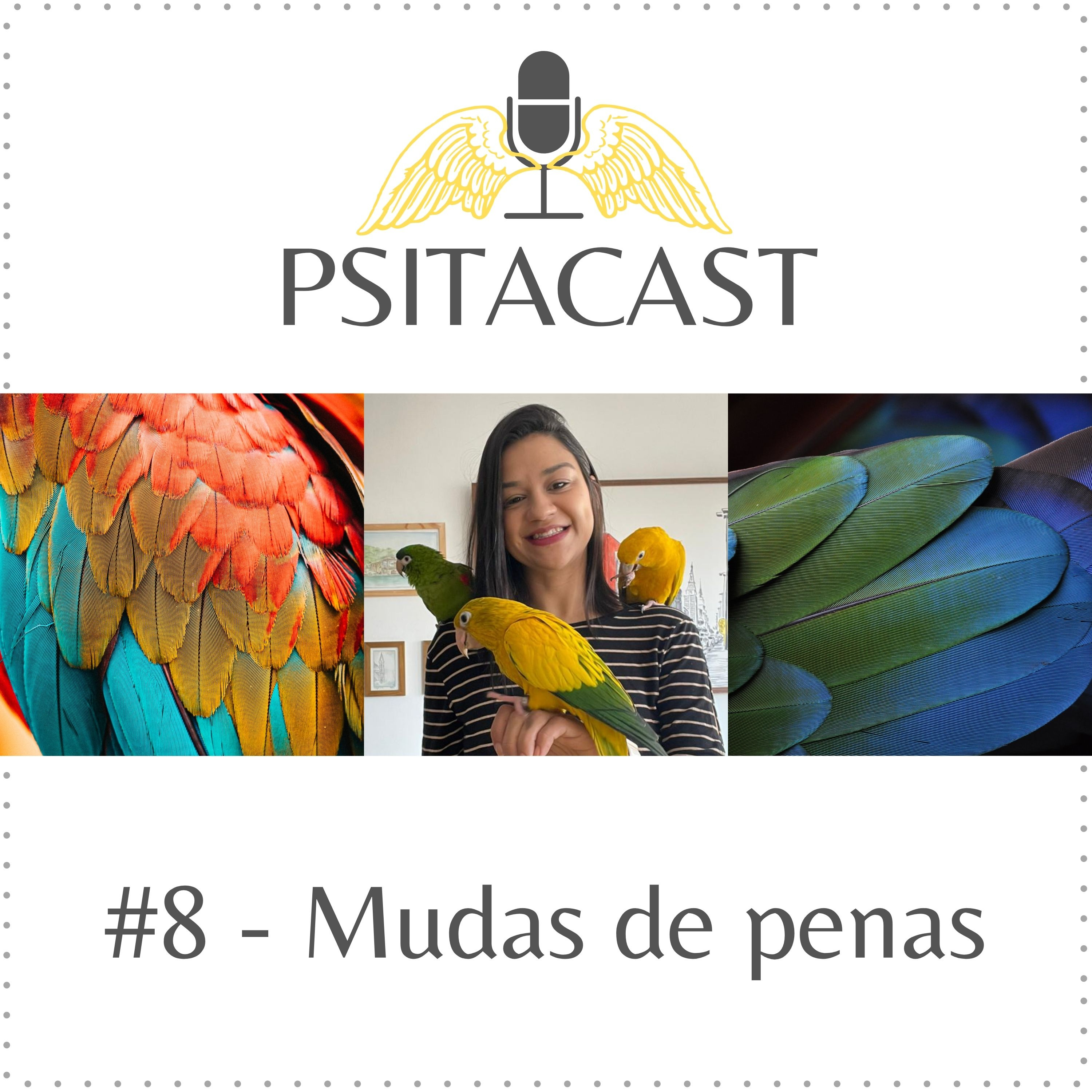 Psitacast #8 - Mudas de penas episode artwork