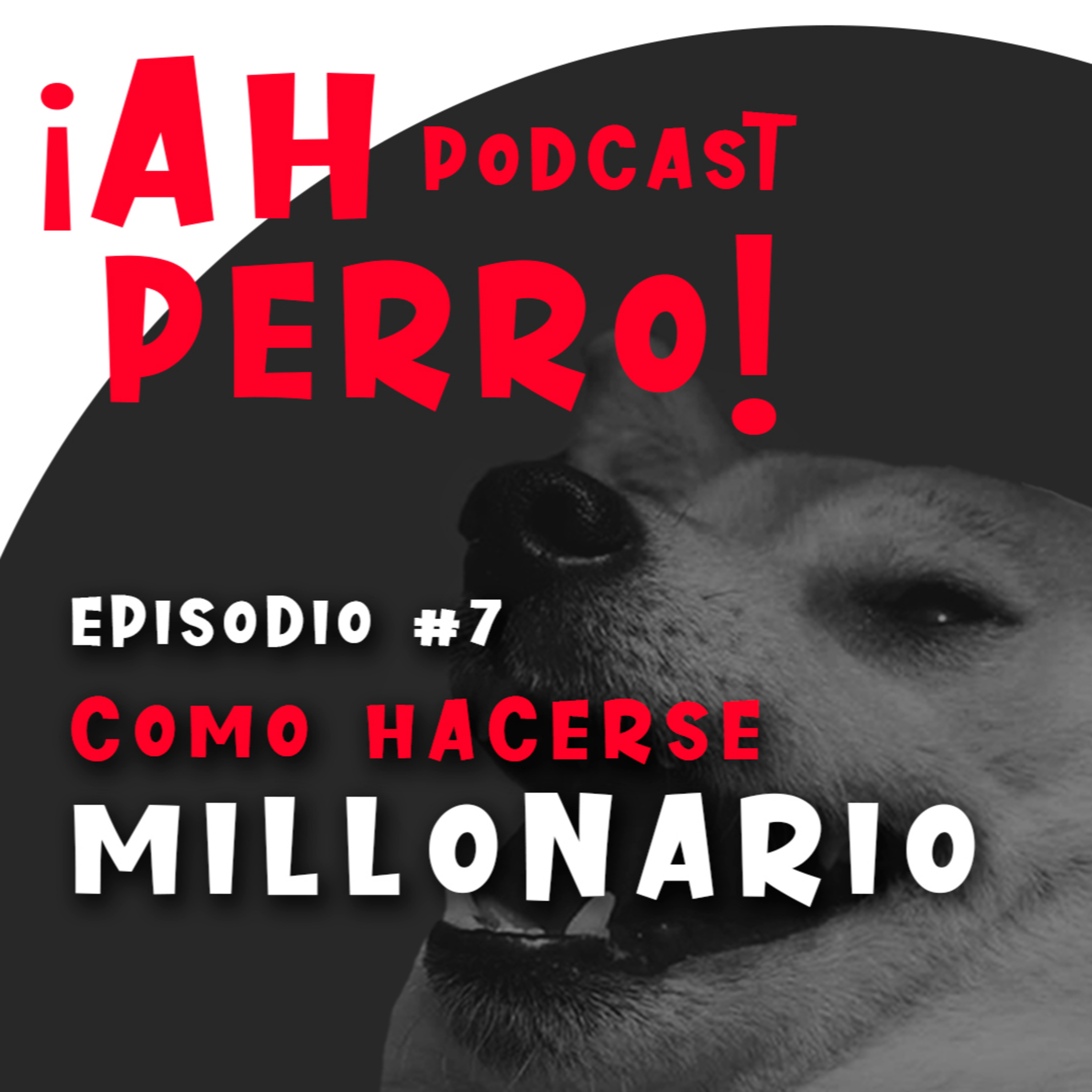 ¿CÓMO VOLVERTE MILLONARIO? episode artwork