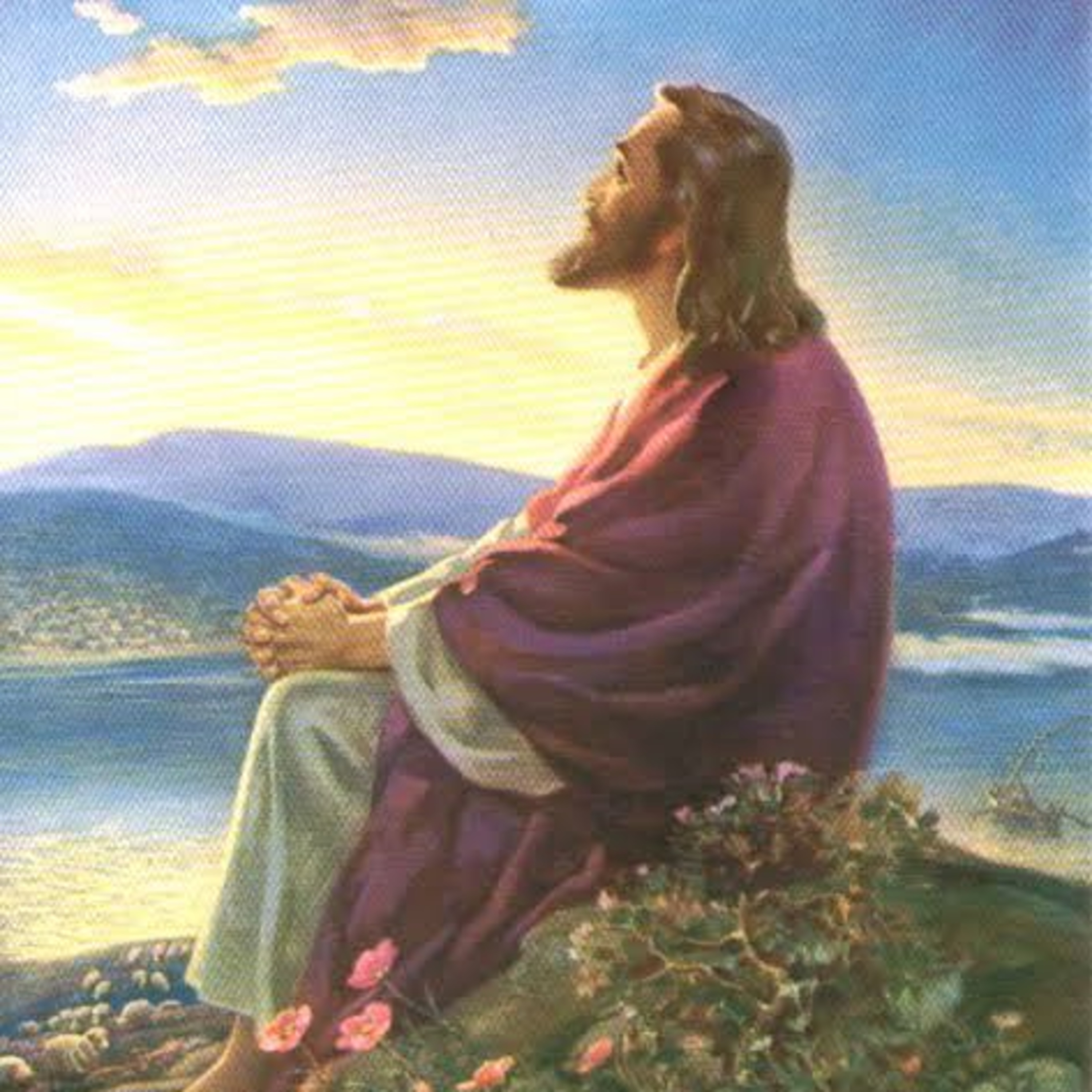 La revelación de Dios es la transmisión total de su amor. episode artwork
