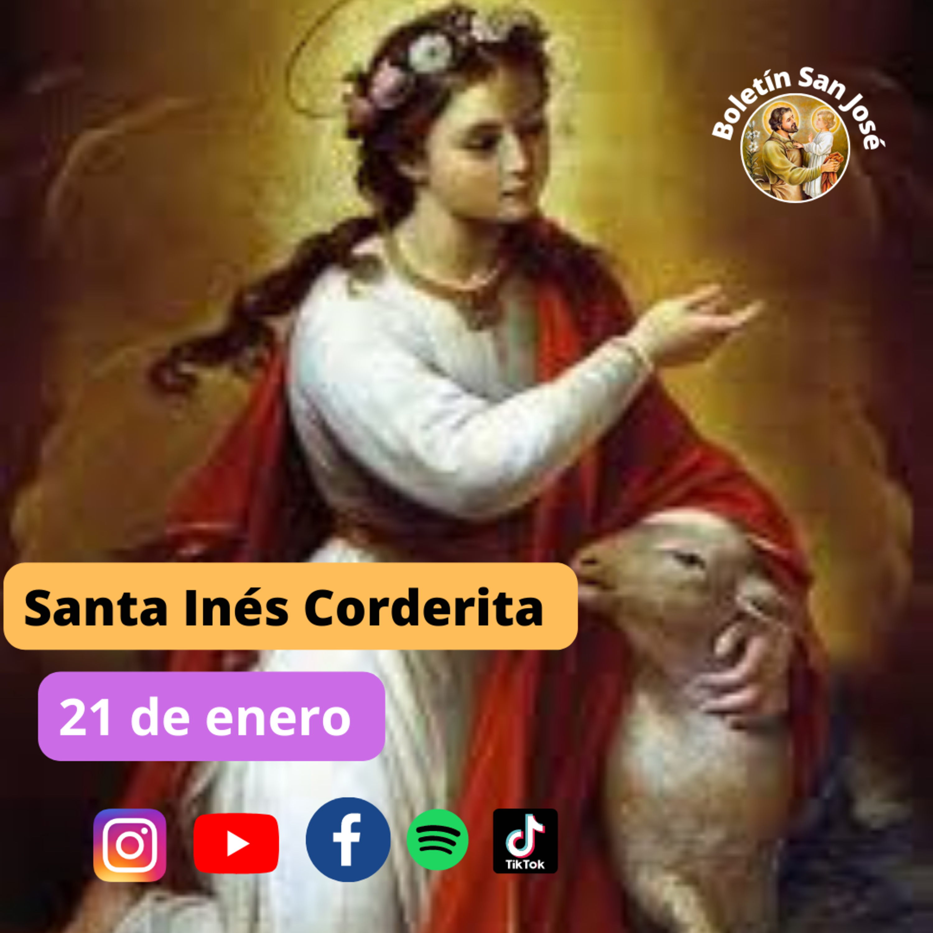 Santa Inés Corderita, 21 de enero. episode artwork