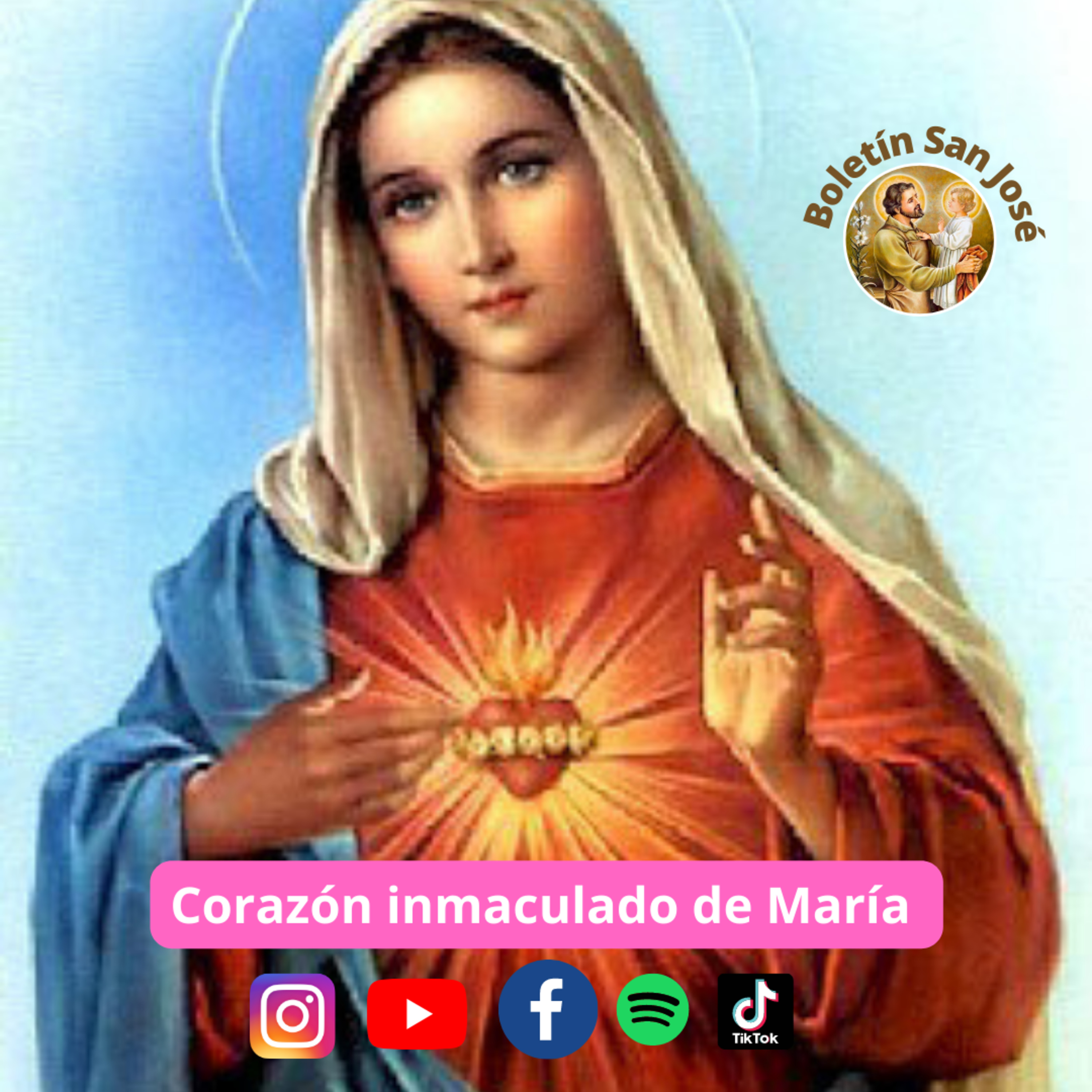 El corazón de María unido al de Cristo  episode artwork