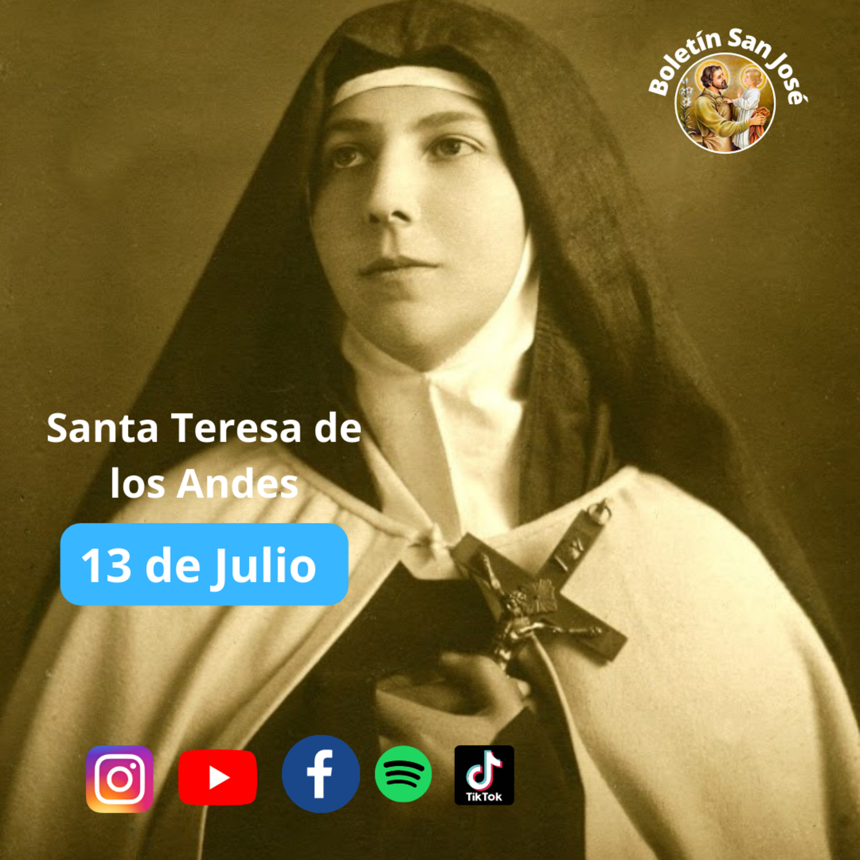 Santa Teresa de los Andes, 13 de julio  episode artwork