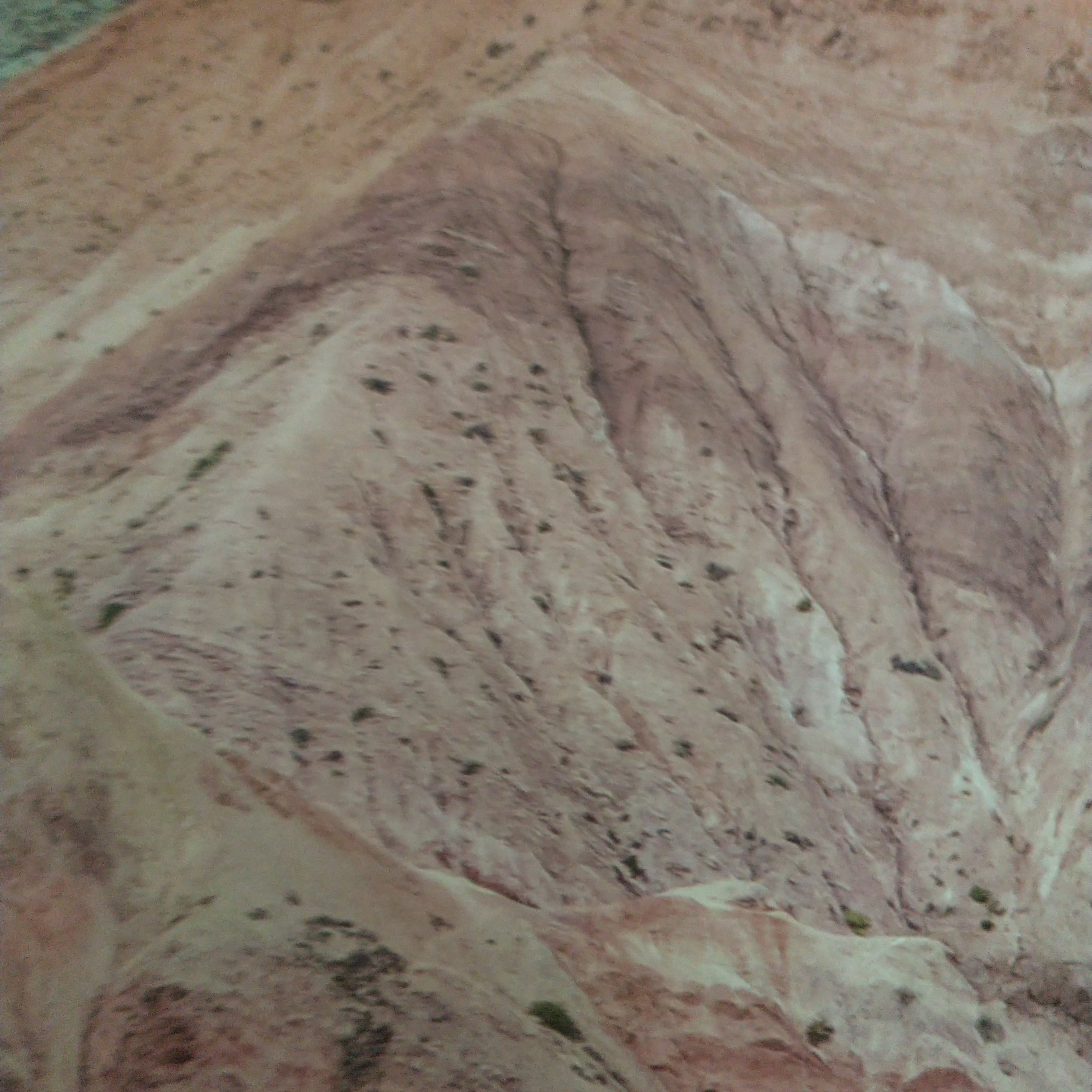 Tarot. Astrología. Biodescodificación