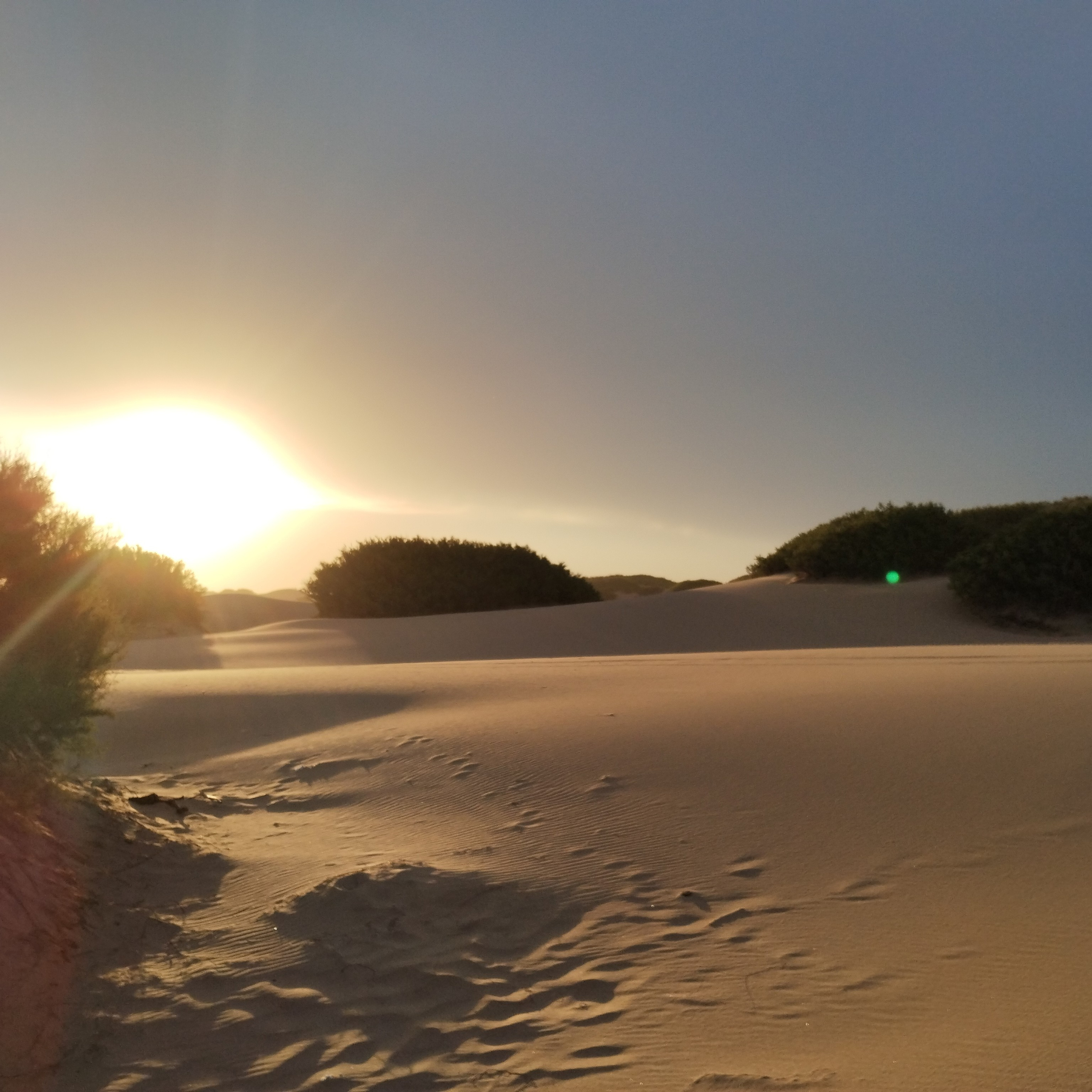 Tarot. Astrología. Biodescodificación