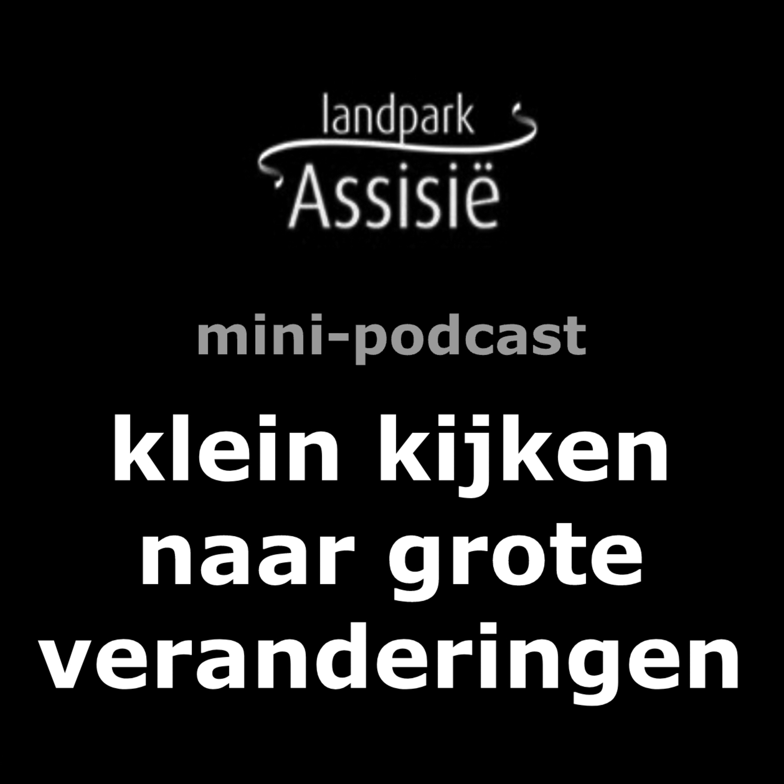 4. Klein kijken naar grote veranderingen. Tiny Houses episode artwork