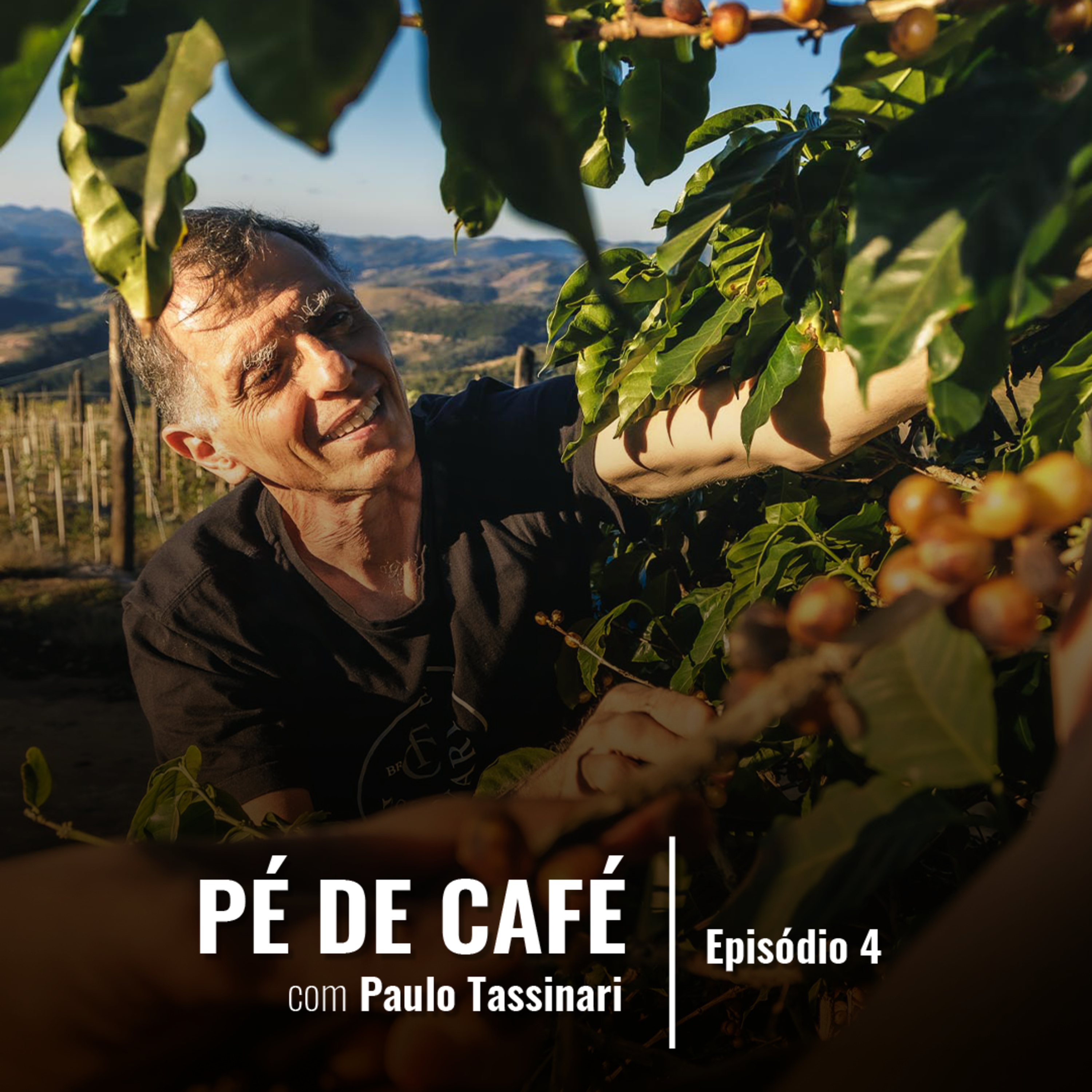 CAFÉ NÃO É TUDO IGUAL: ENTENDA A DIFERENÇA ENTRE OS TRADICIONAIS E OS ESPECIAIS