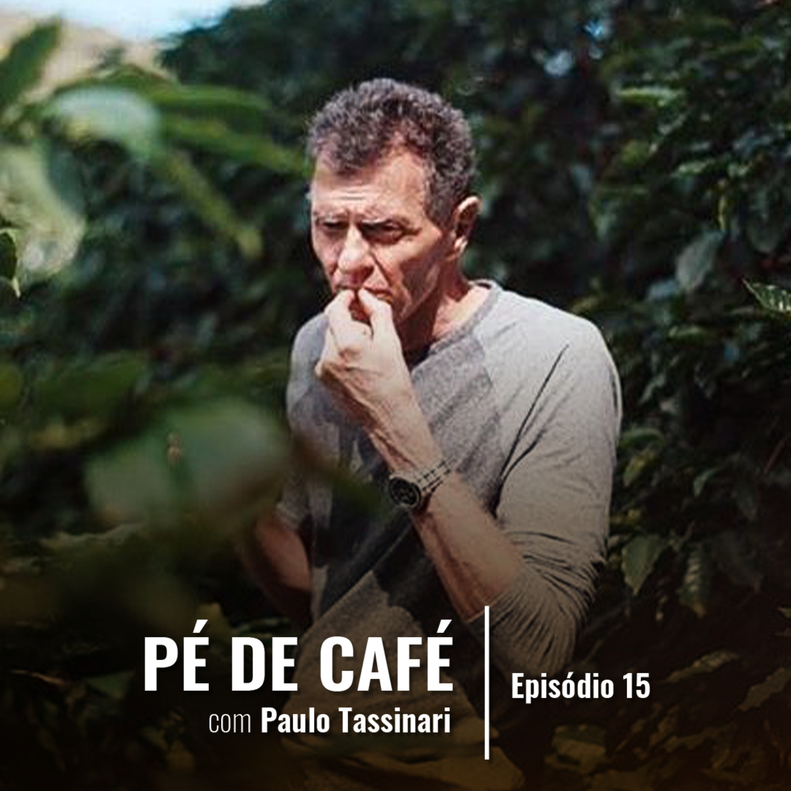 [PARTE 2] CAFÉ EM MÁQUINAS EXPRESSO episode artwork