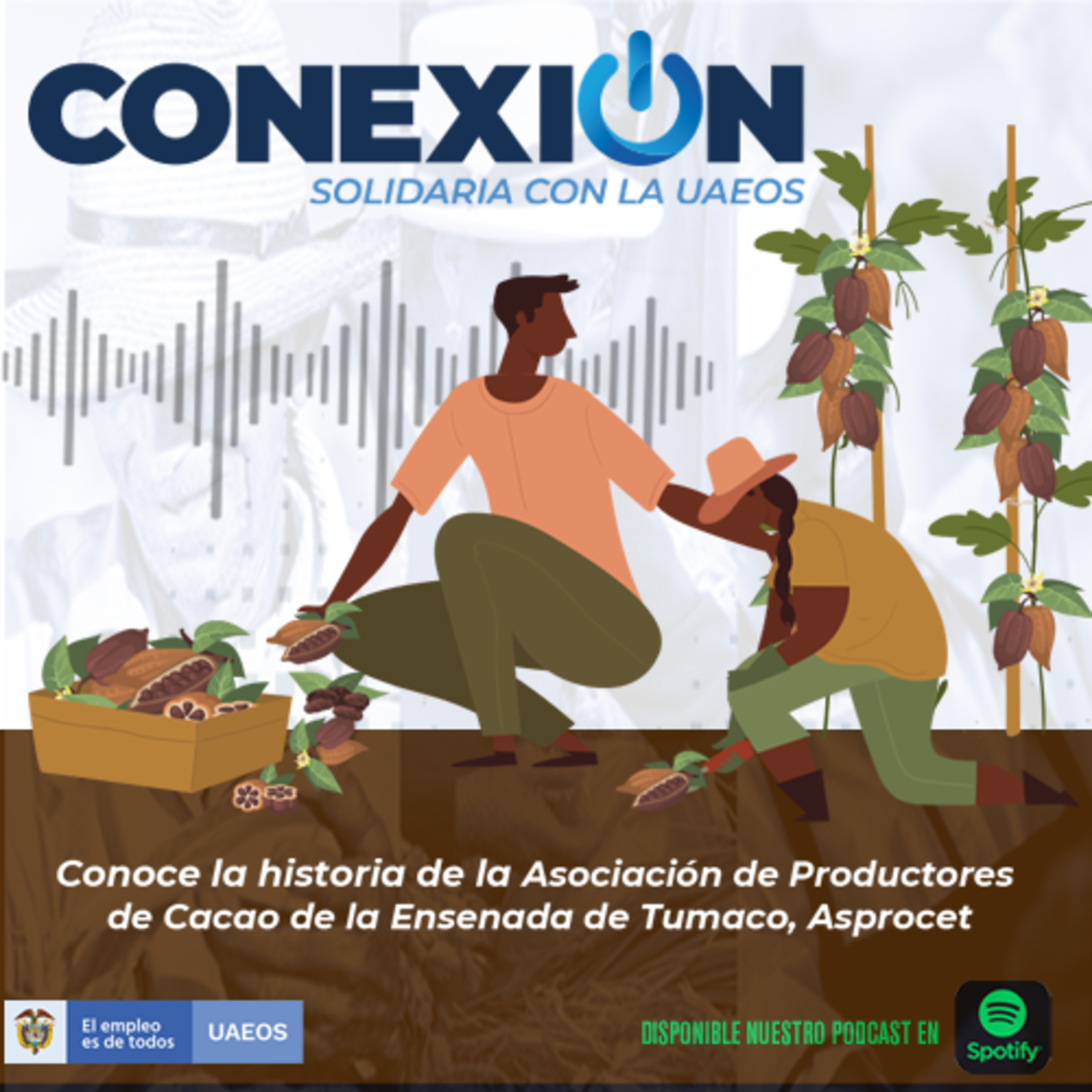 Conexión Solidaria - UAEOS