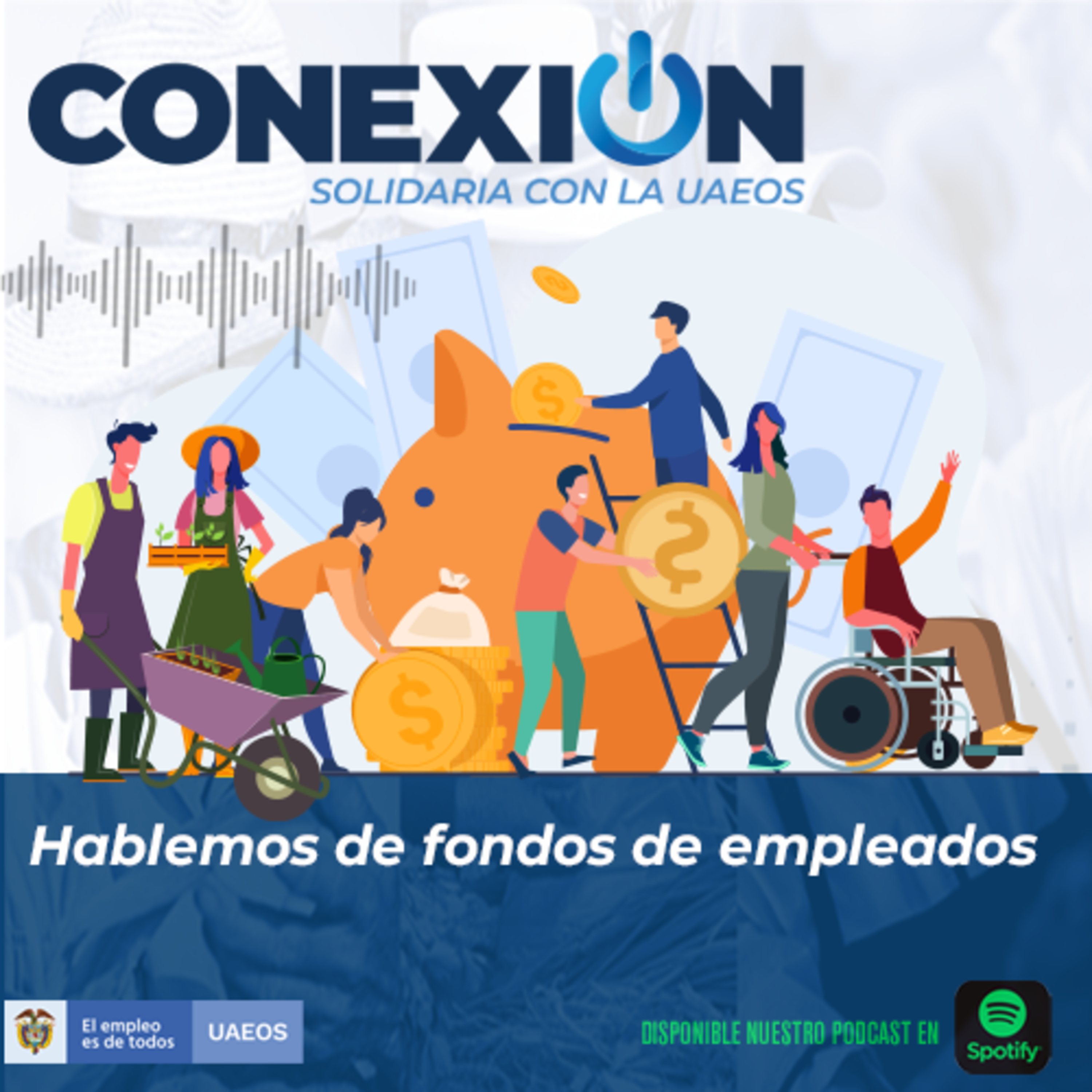 Conexión Solidaria - UAEOS