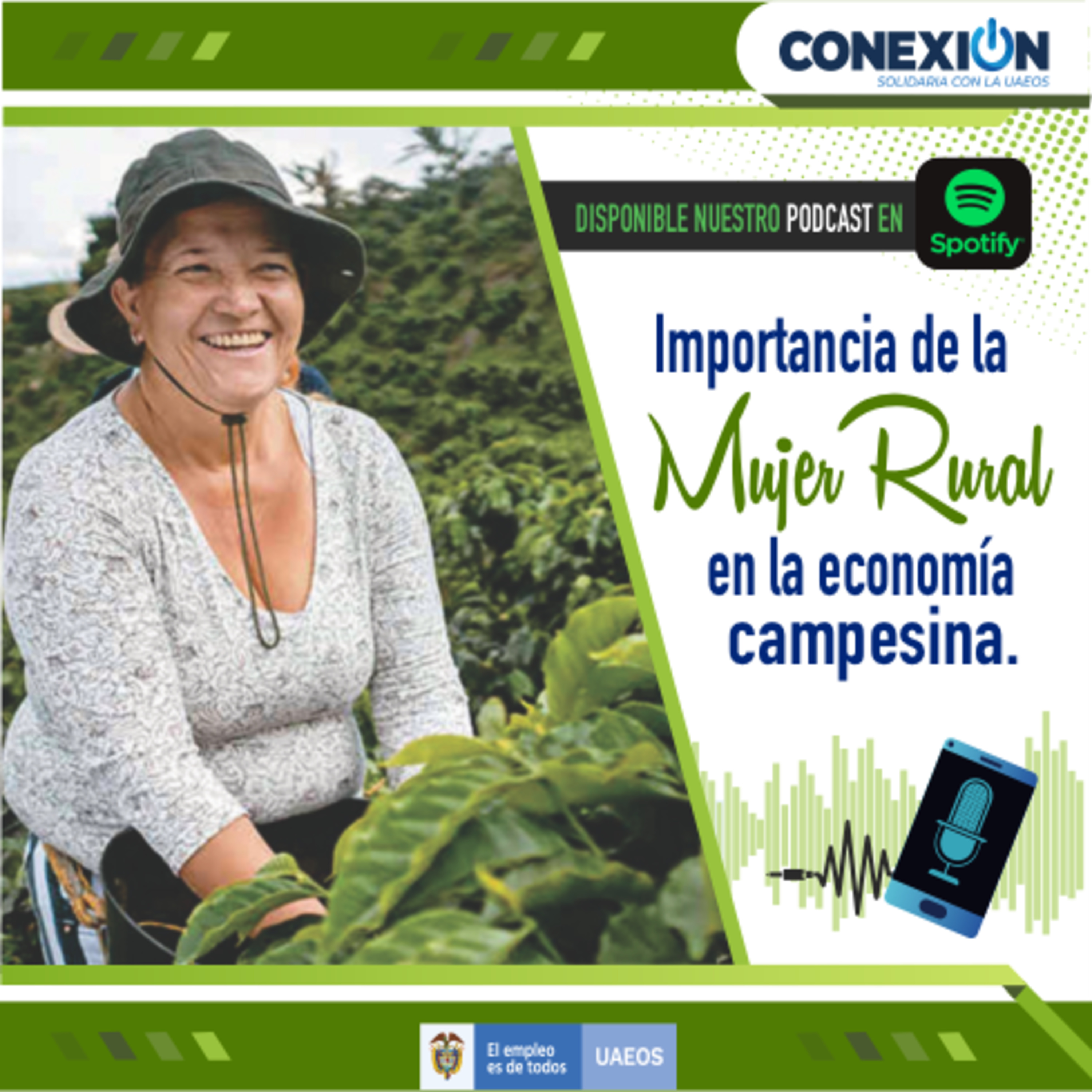 Conexión Solidaria - UAEOS
