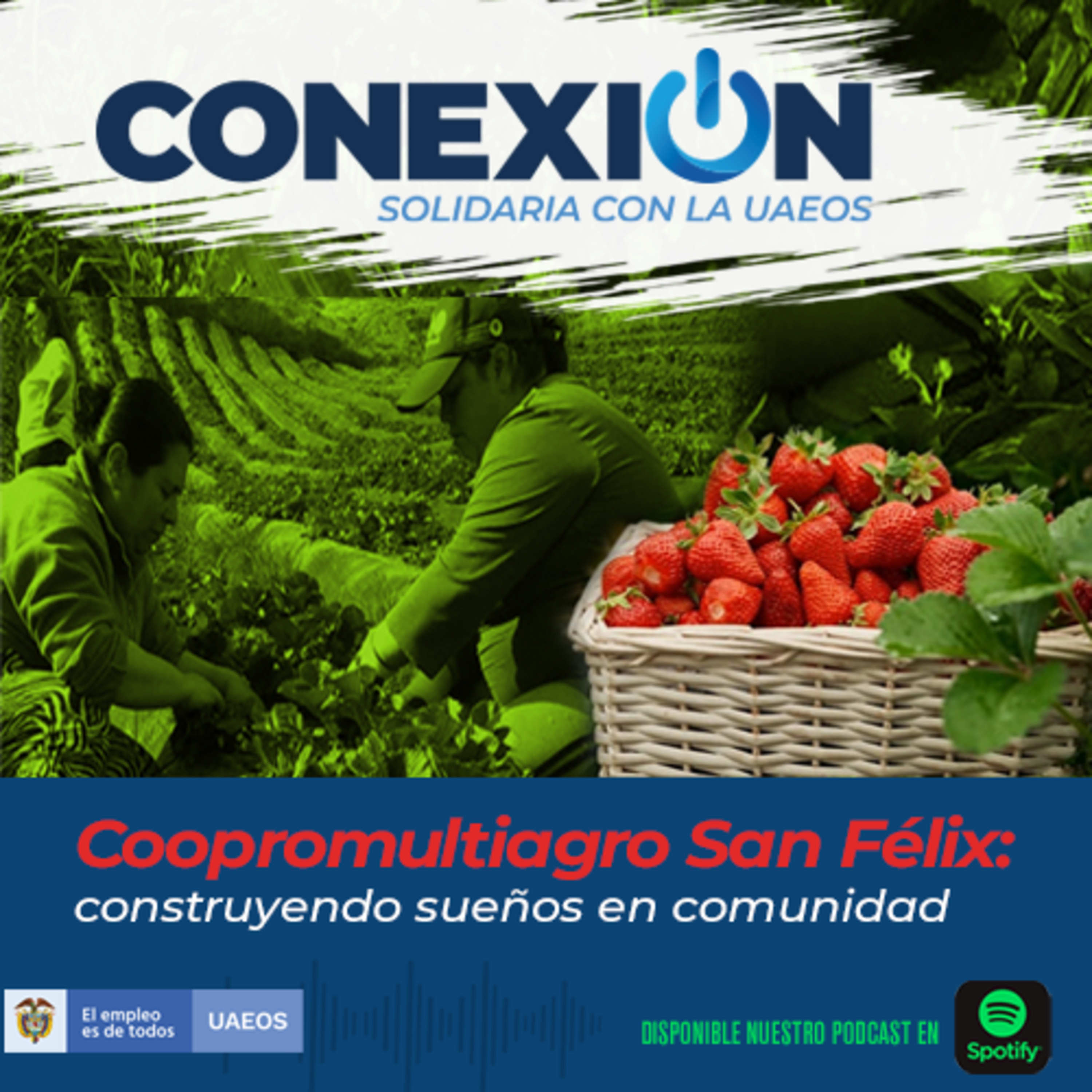 Conexión Solidaria - UAEOS