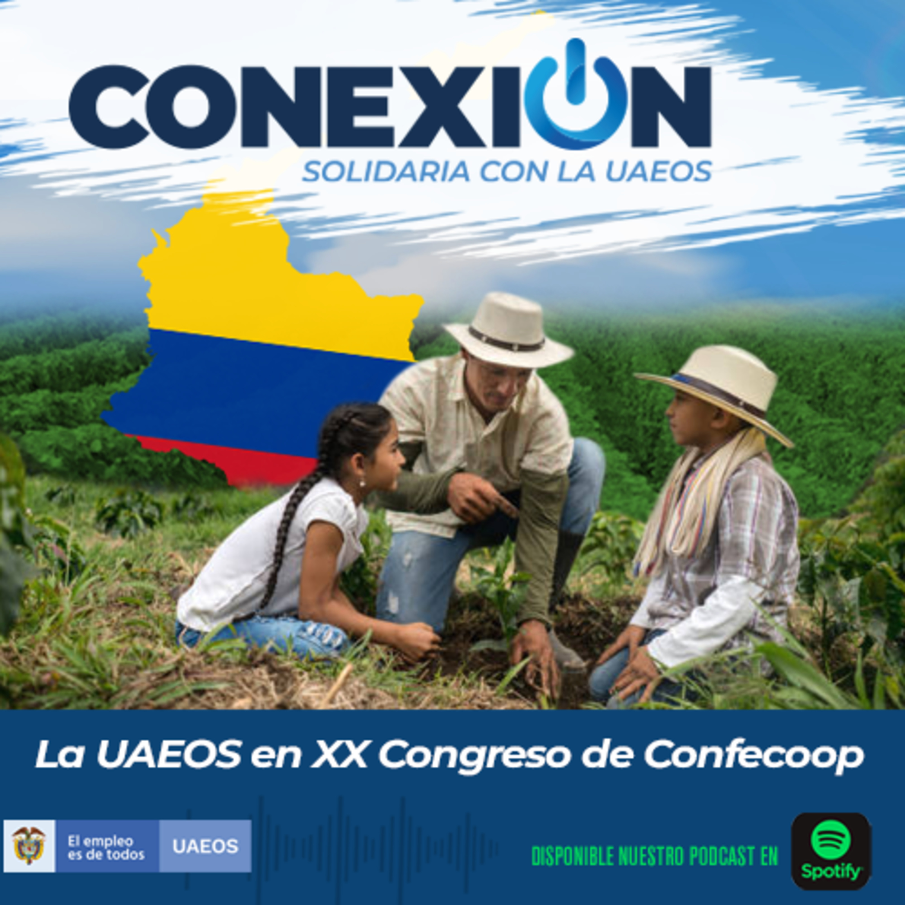 Conexión Solidaria - UAEOS
