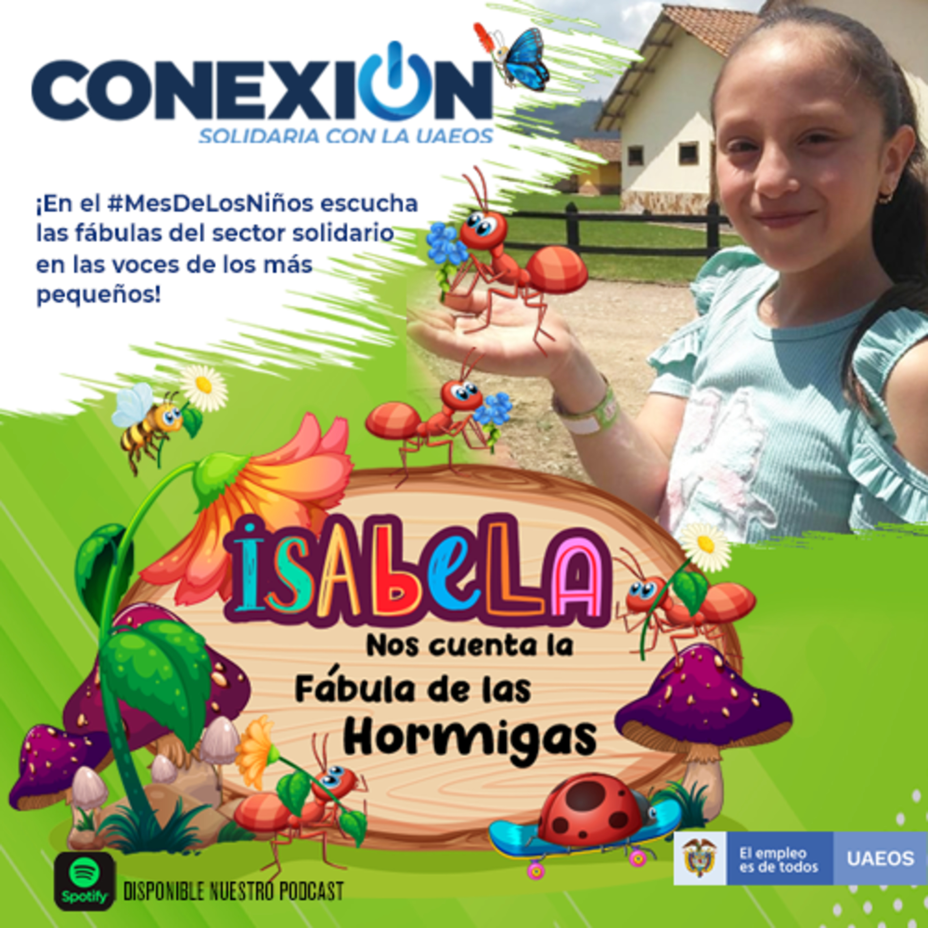 Conexión Solidaria - UAEOS