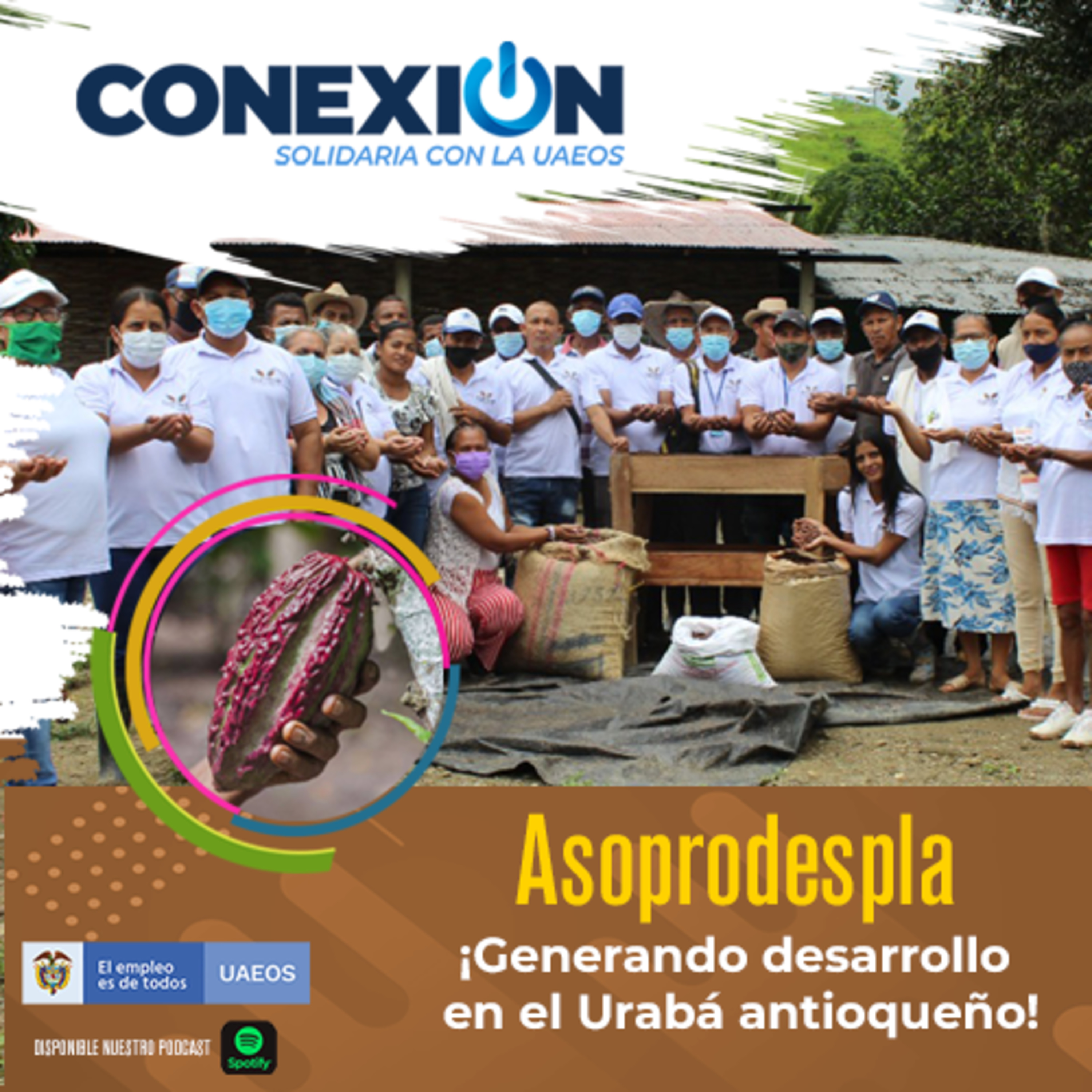 Conexión Solidaria - UAEOS