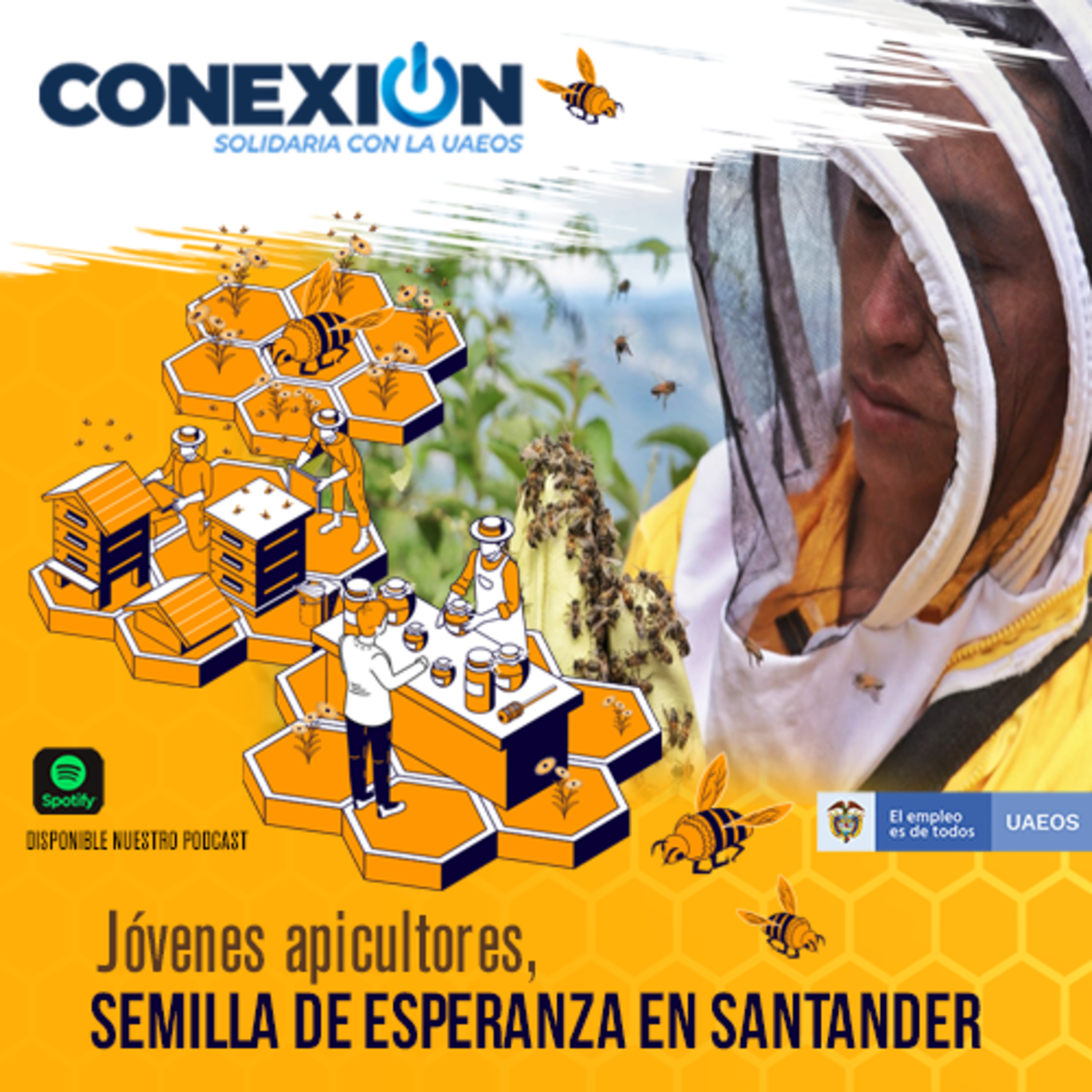 Conexión Solidaria - UAEOS