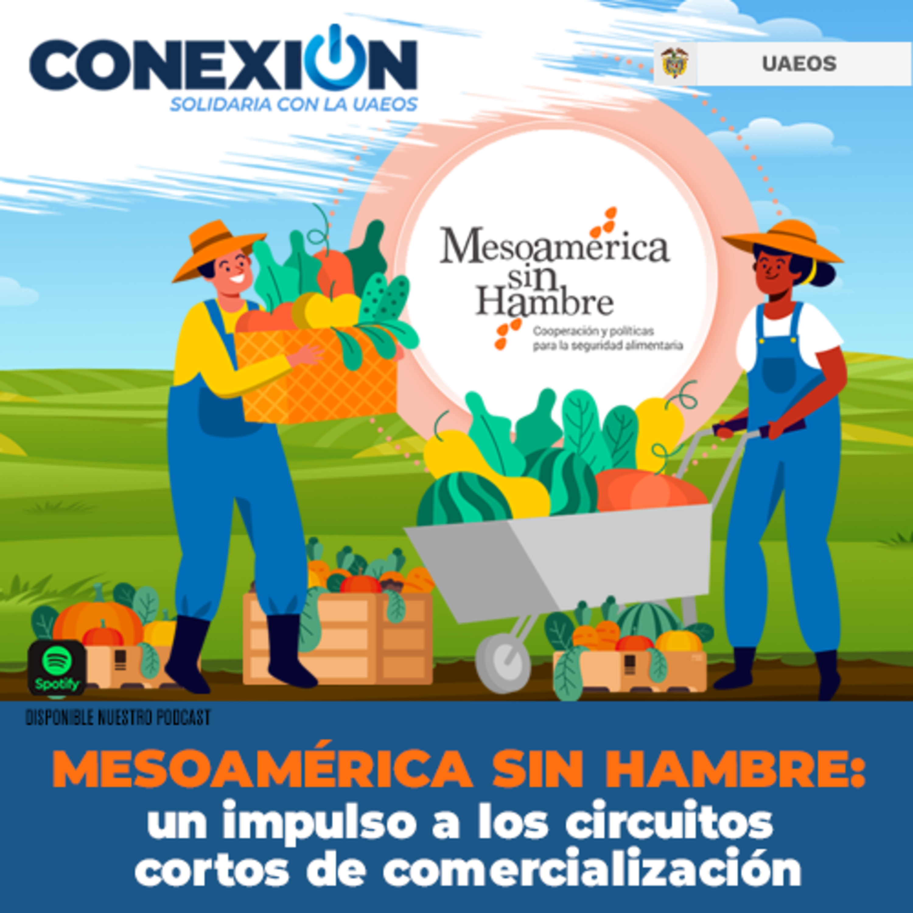 Conexión Solidaria - UAEOS