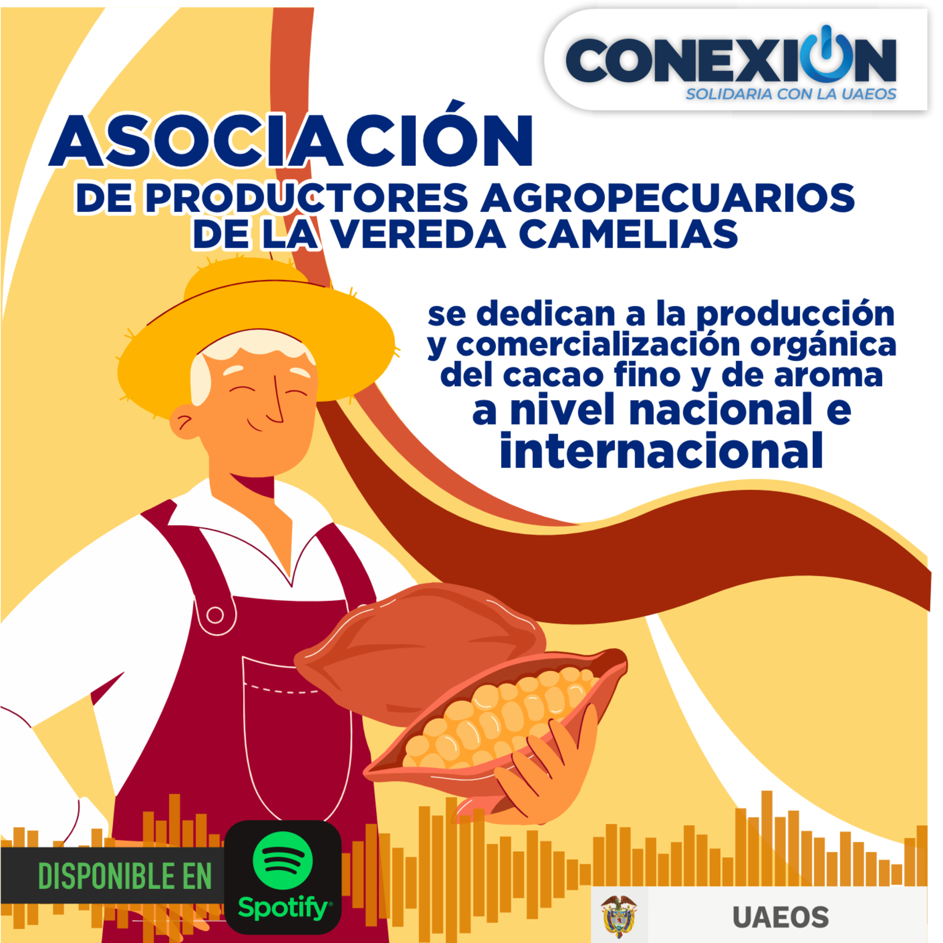 Conexión Solidaria - UAEOS