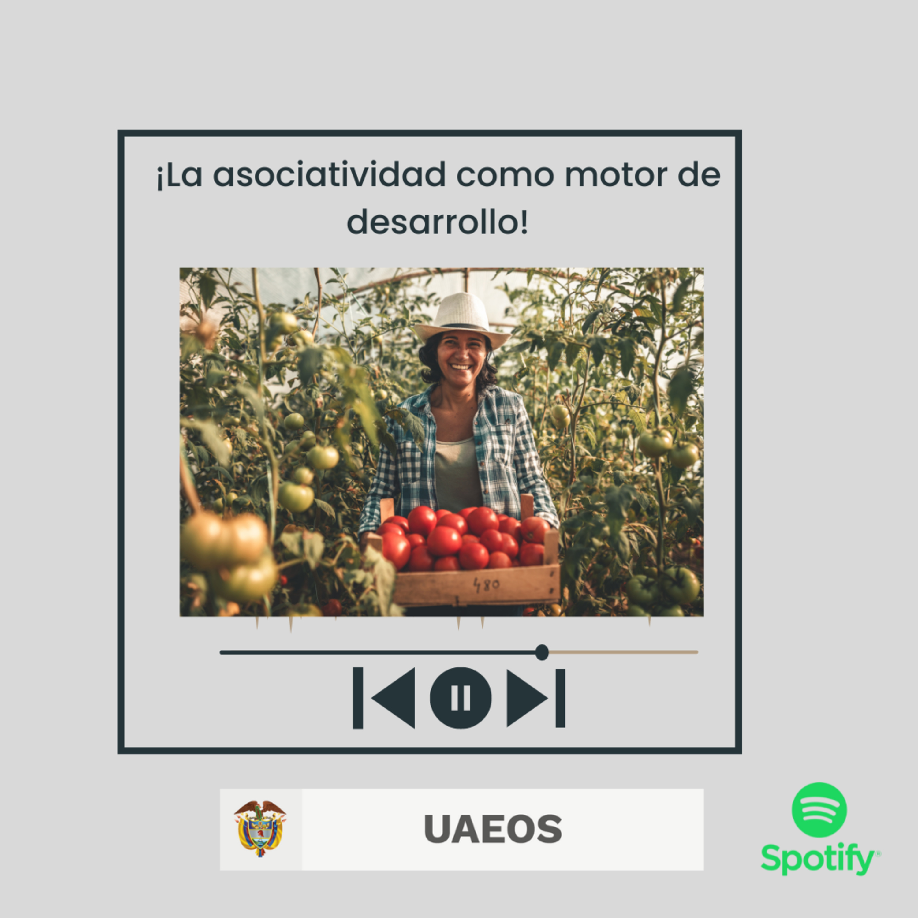 Conexión Solidaria - UAEOS