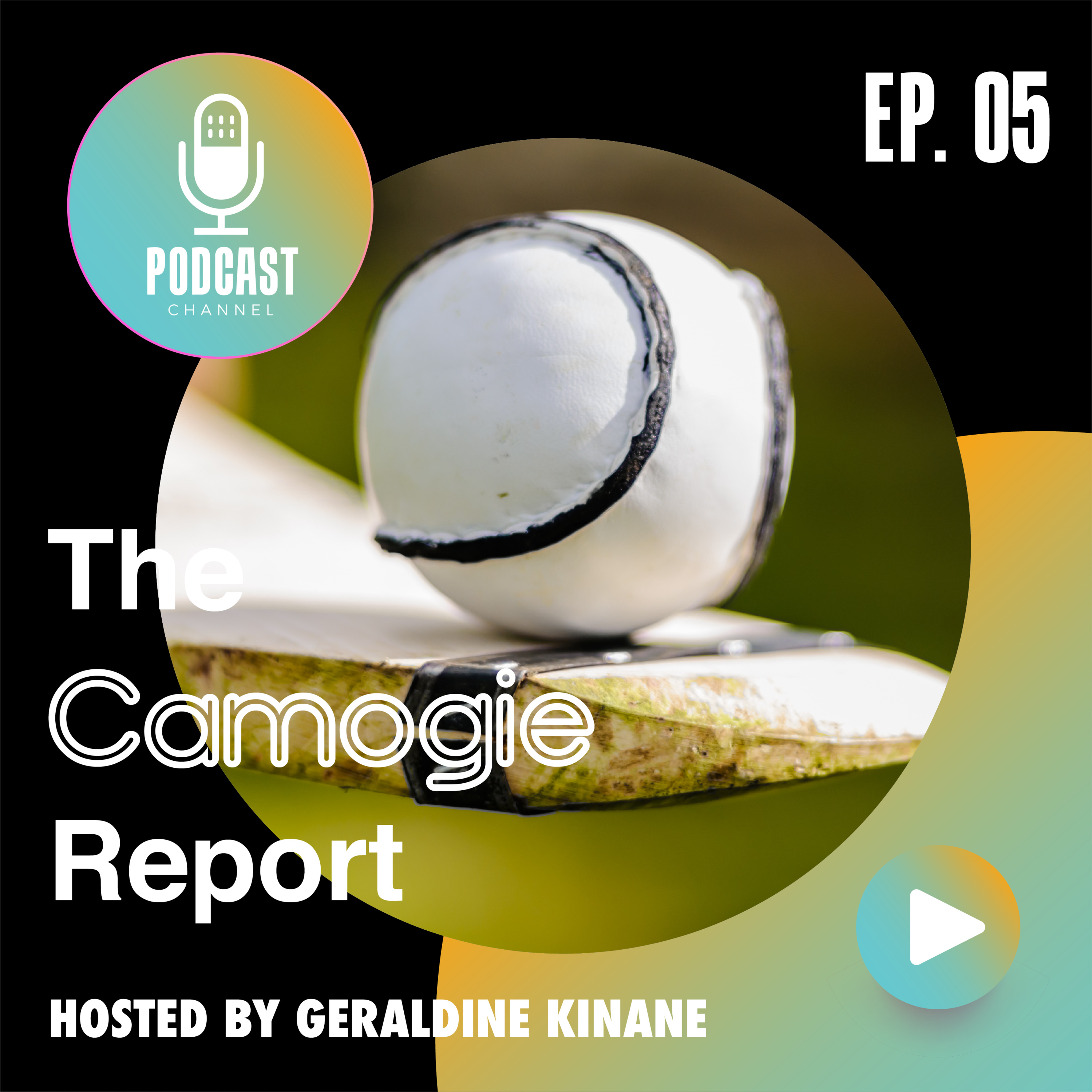 The Camogie Report
