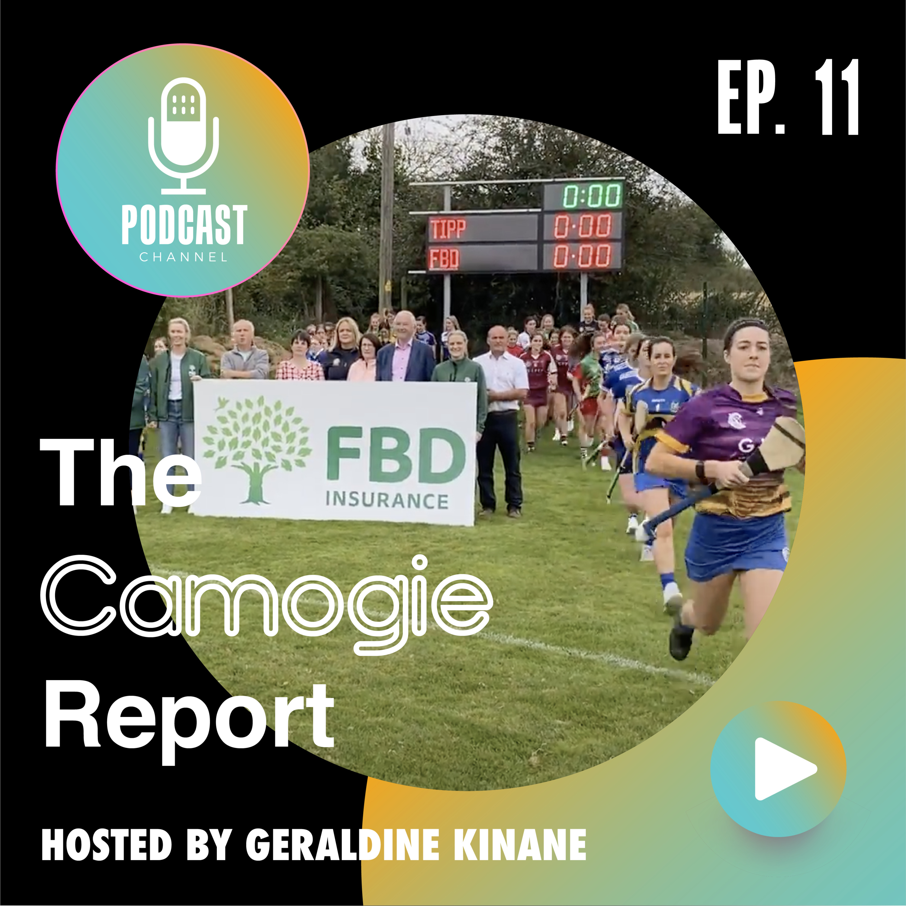 The Camogie Report