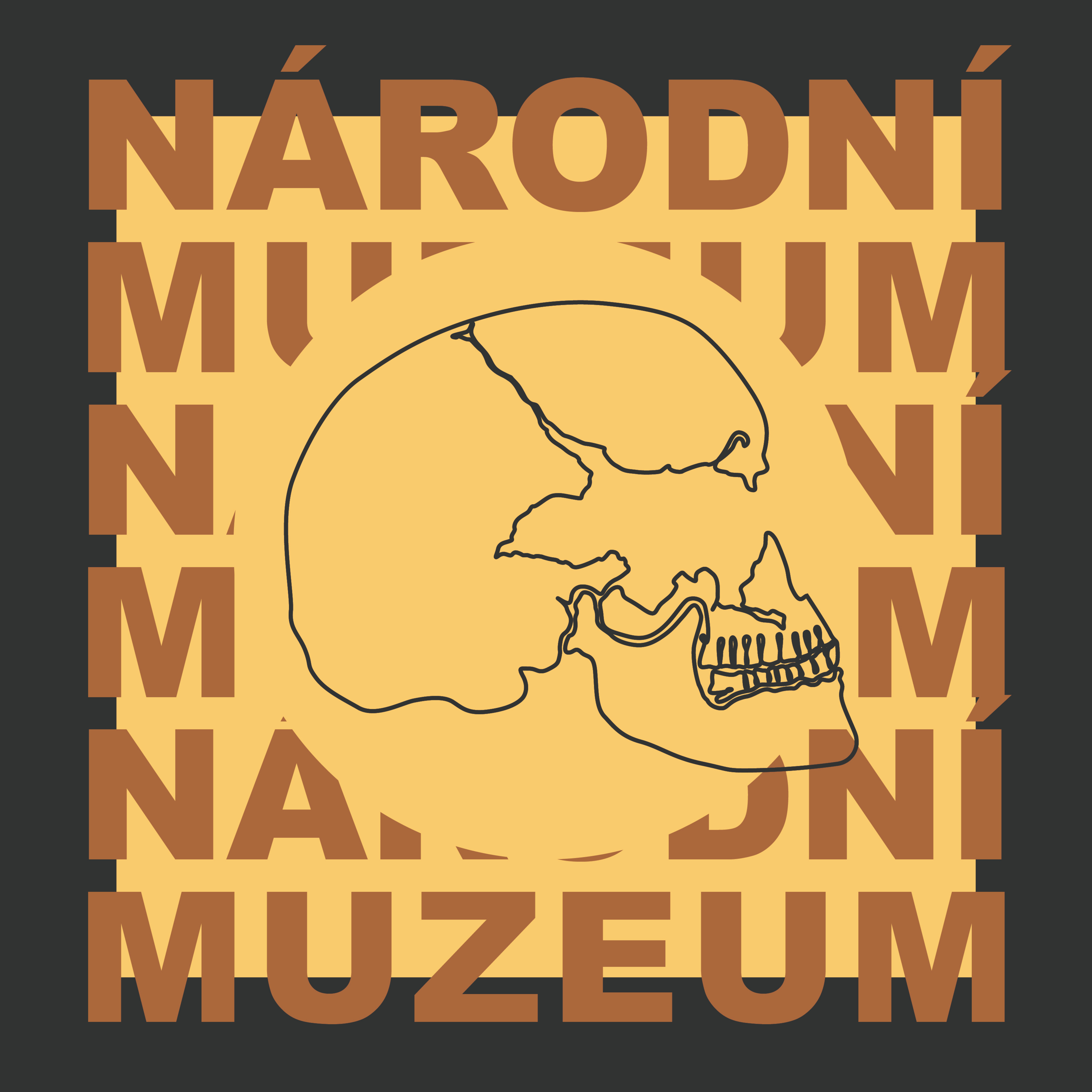 Tajemství Národního muzea