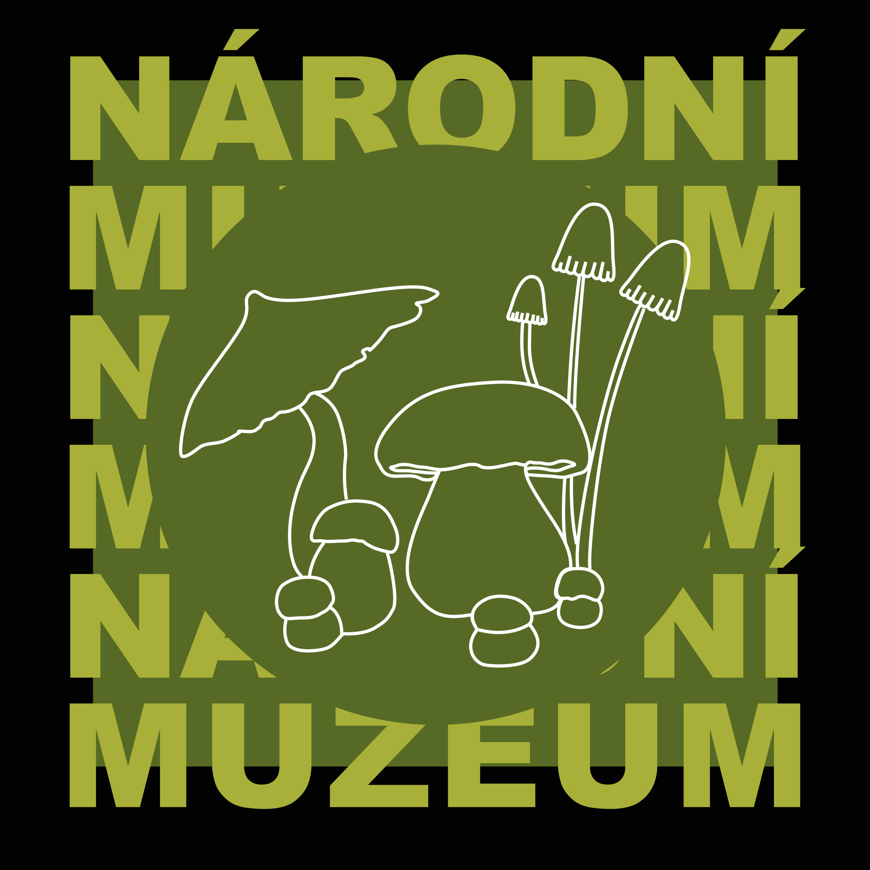 Tajemství Národního muzea